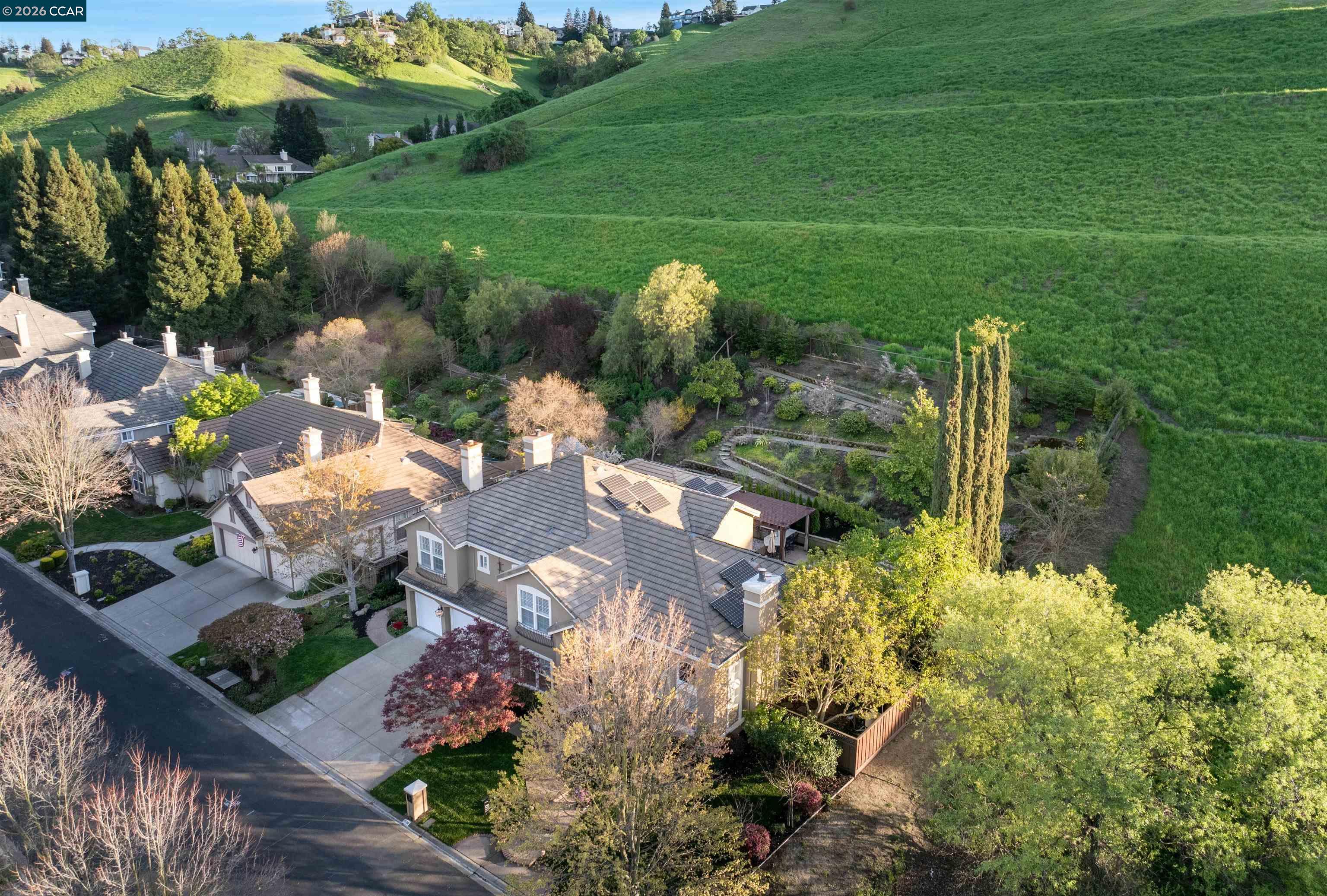 1536 Serafix Rd, Alamo CA 94507 — photo 47
