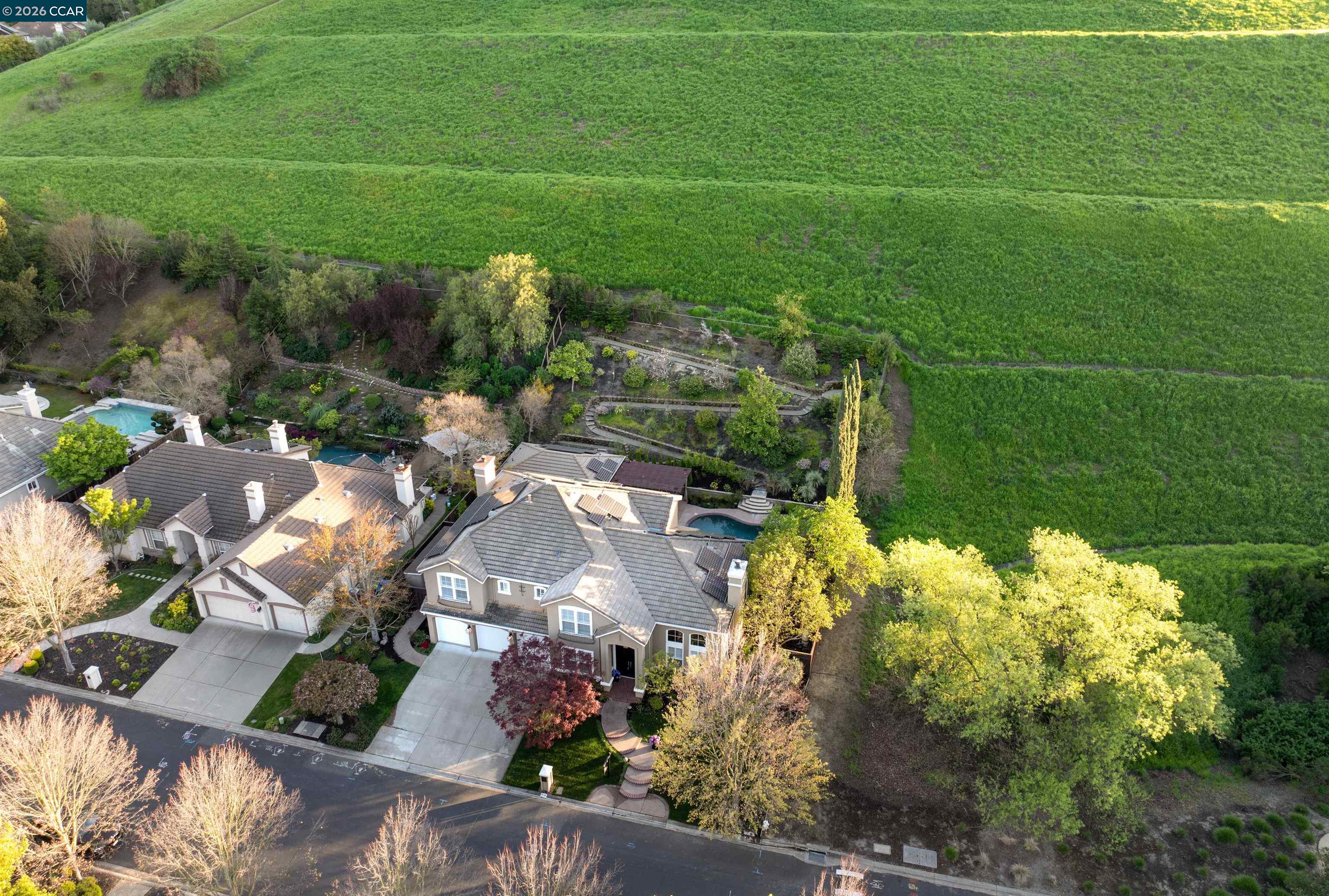 1536 Serafix Rd, Alamo CA 94507 — photo 48