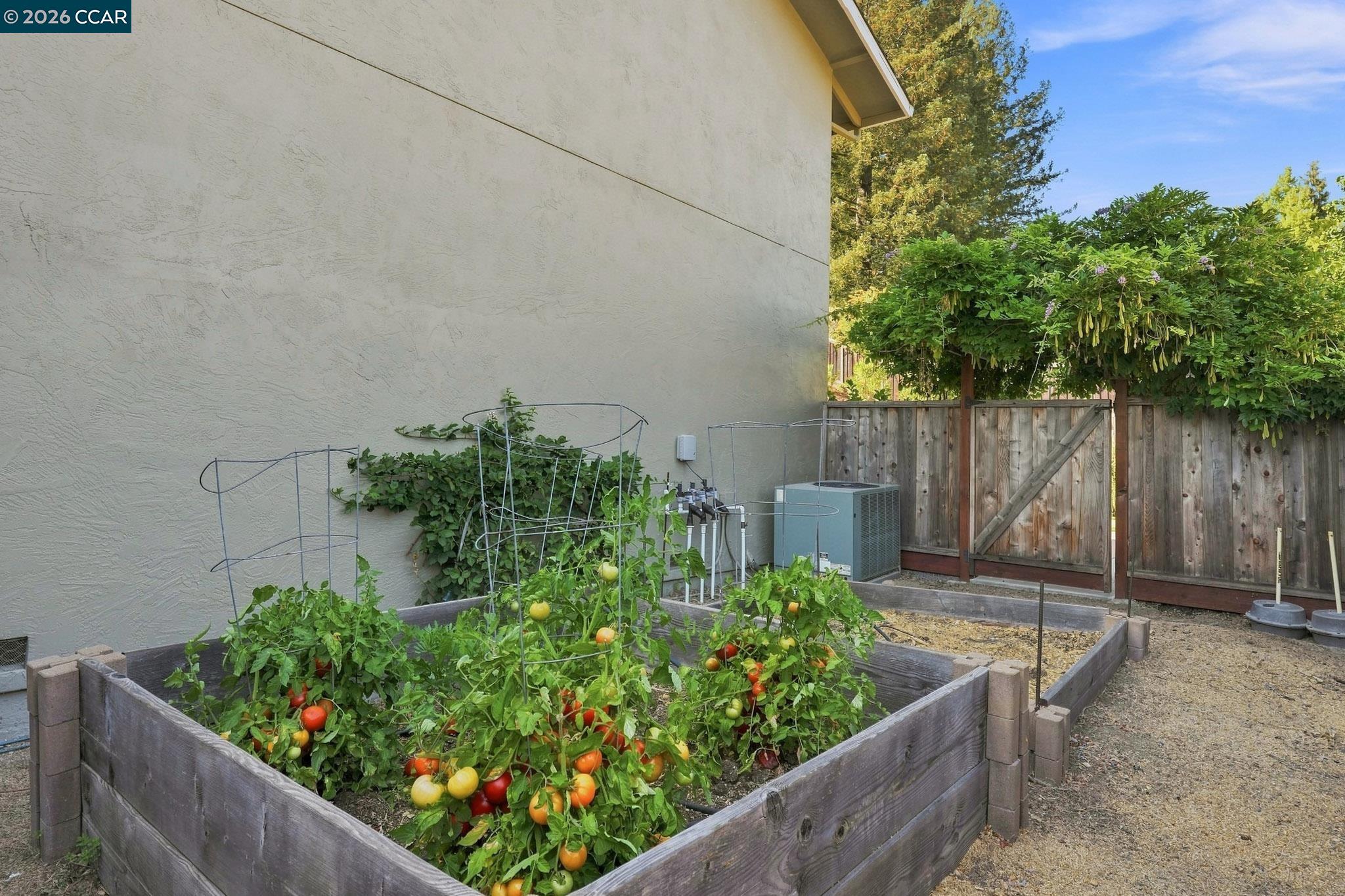3960 Campolindo drive, Moraga CA 94556 — photo 41