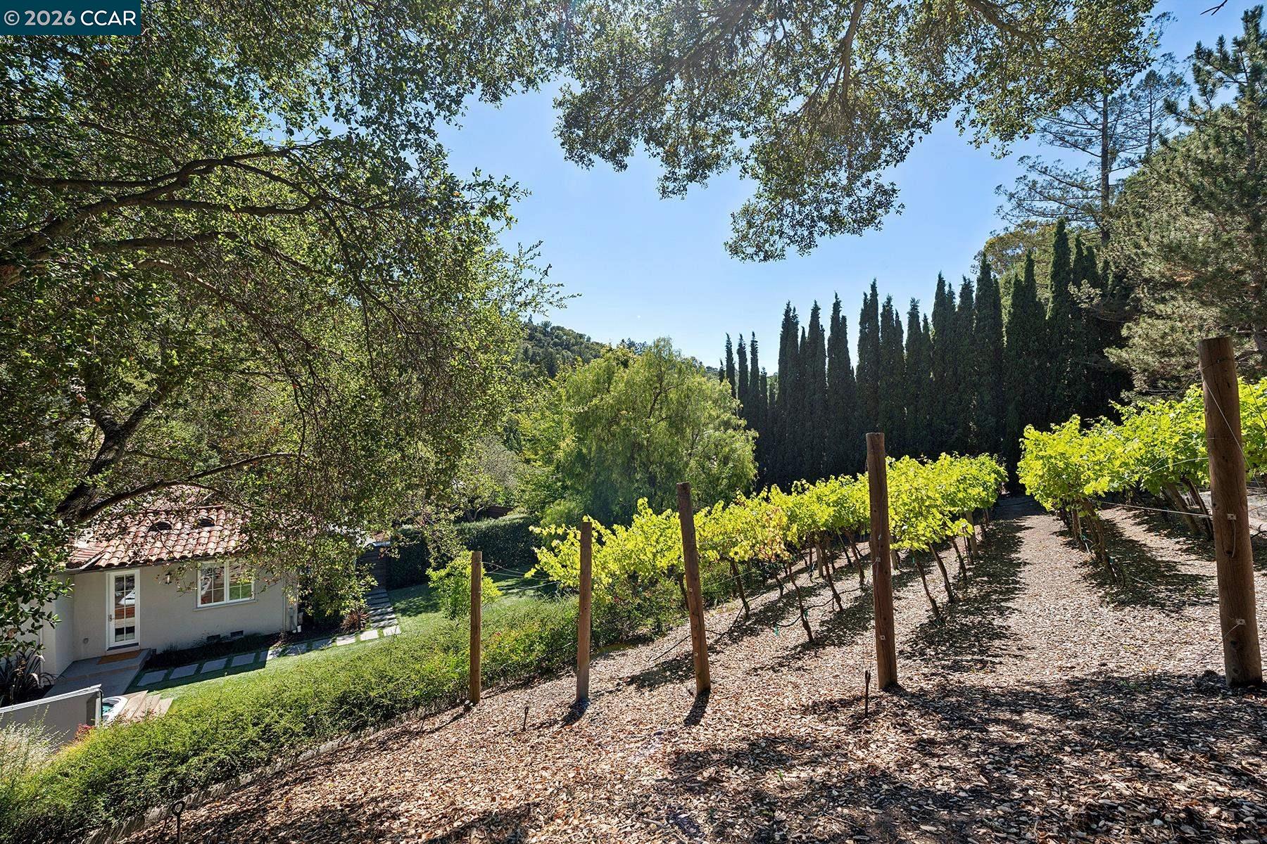 31 Sandy Ct, Orinda CA 94563 — photo 42