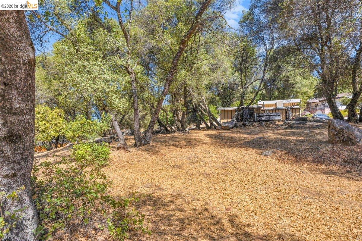 19225 Overlook Dr., Sonora CA 95370 — photo 88