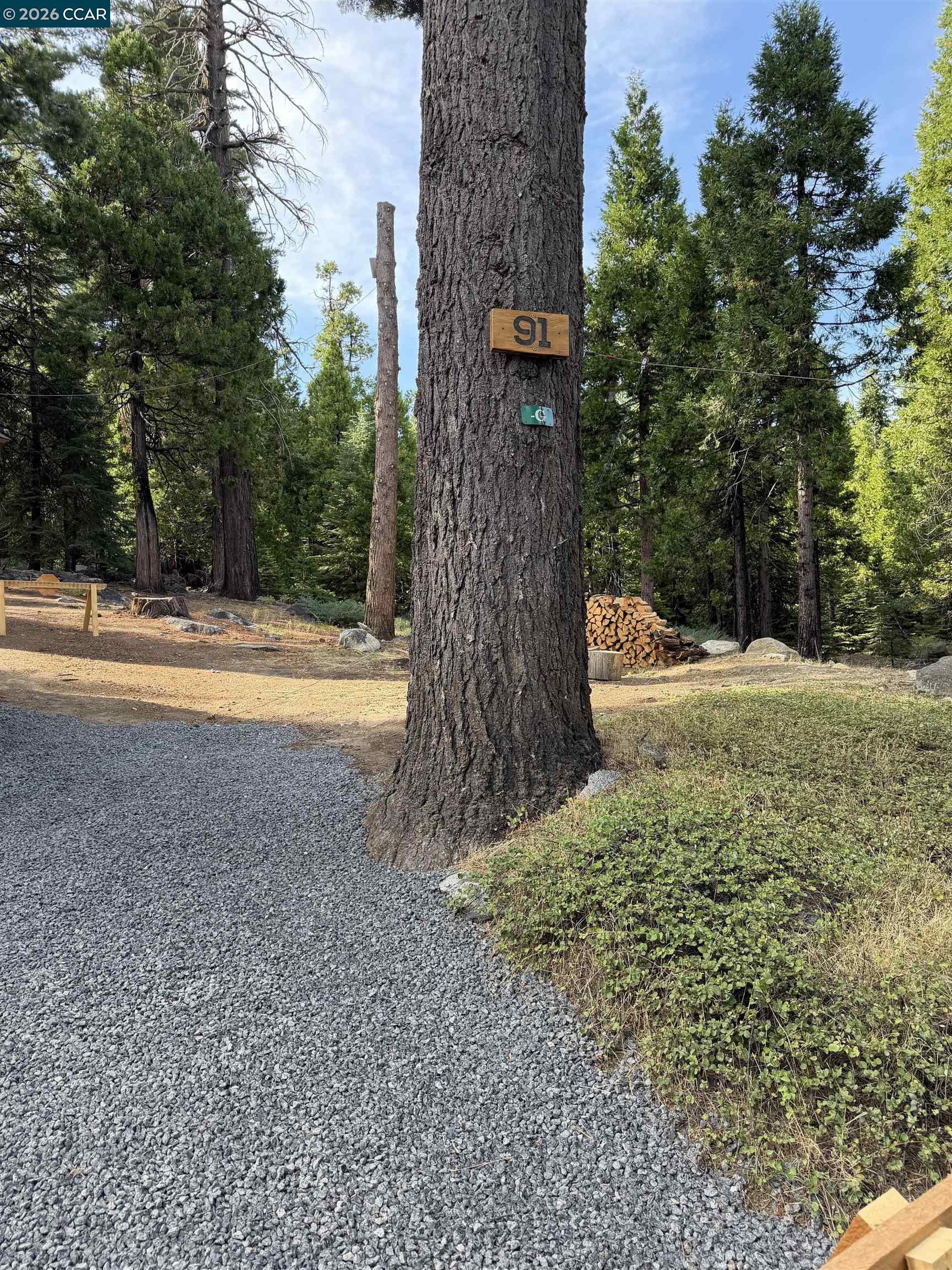 91 Segale Dr, Camp Connell CA 95223 — photo 15