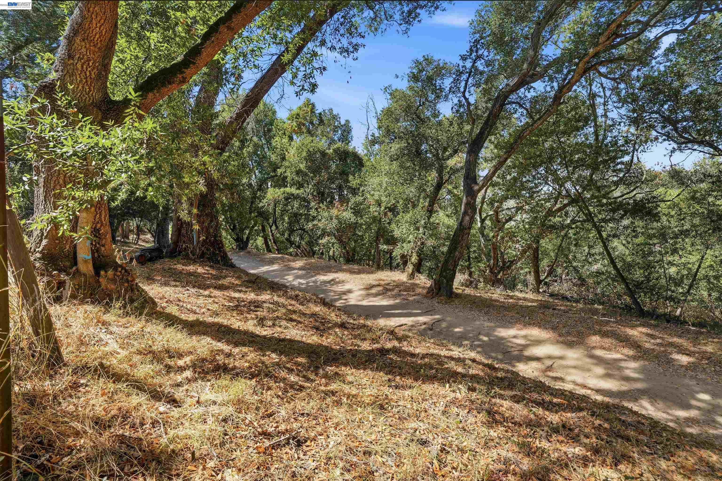 4618 Ewing Rd, Castro Valley CA 94546 — photo 22