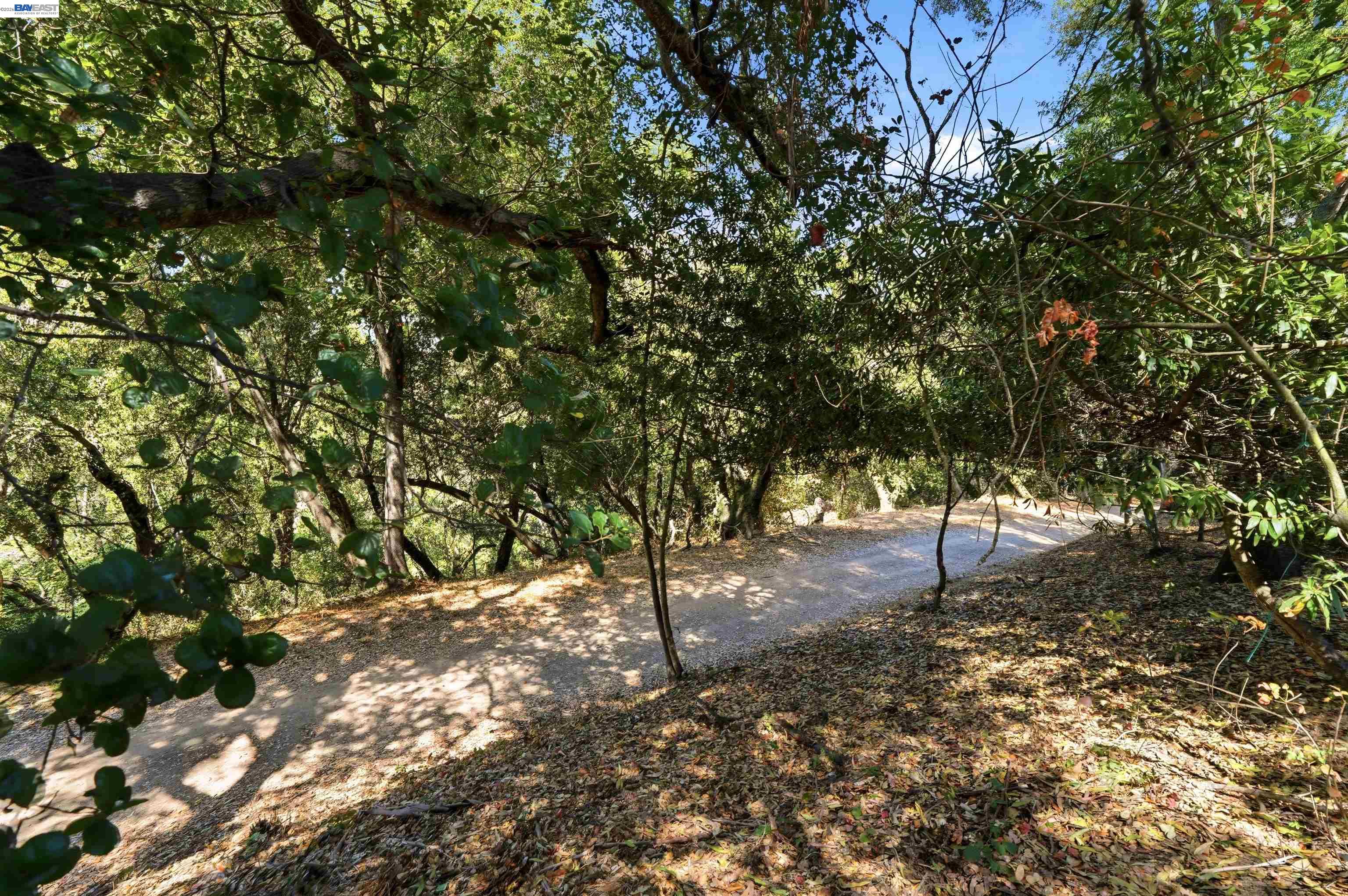 4618 Ewing Rd, Castro Valley CA 94546 — photo 47