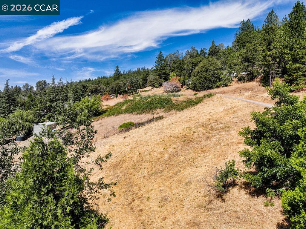 3501 Braden Rd, Camino CA 95709 — photo 12