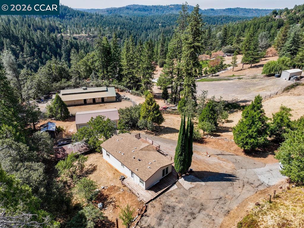 3501 Braden Rd, Camino CA 95709 — photo 15