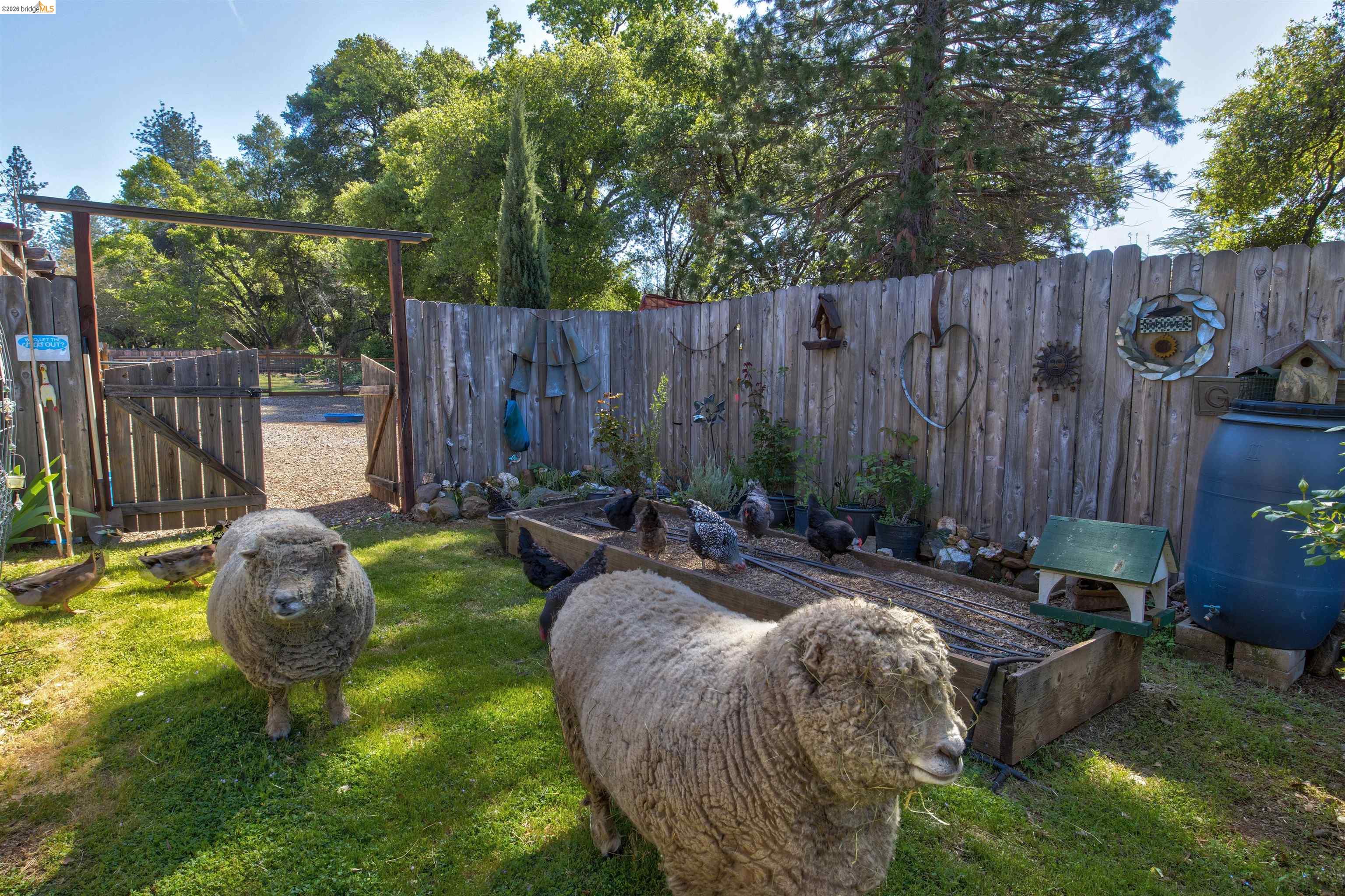 22004 Parrotts Ferry Rd, Sonora CA 95370 — photo 27
