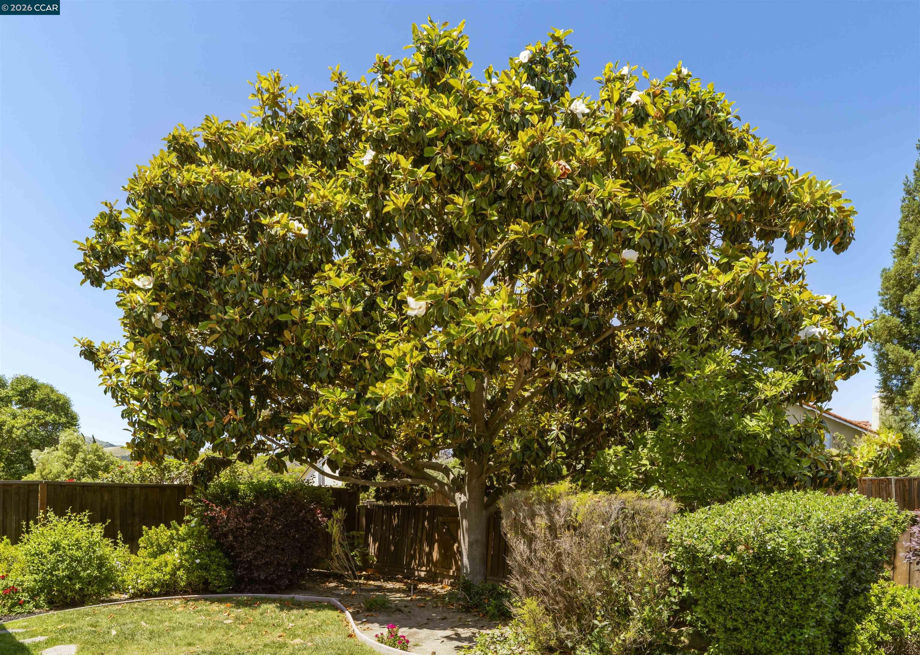 3237 Vera Cruz Dr, San Ramon CA 94583 — photo 53