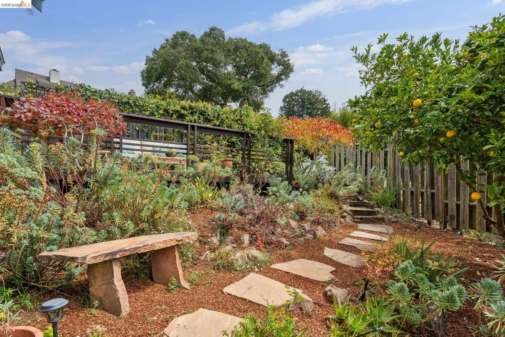 54 Colorado Ave, Berkeley CA 94707 — photo 38