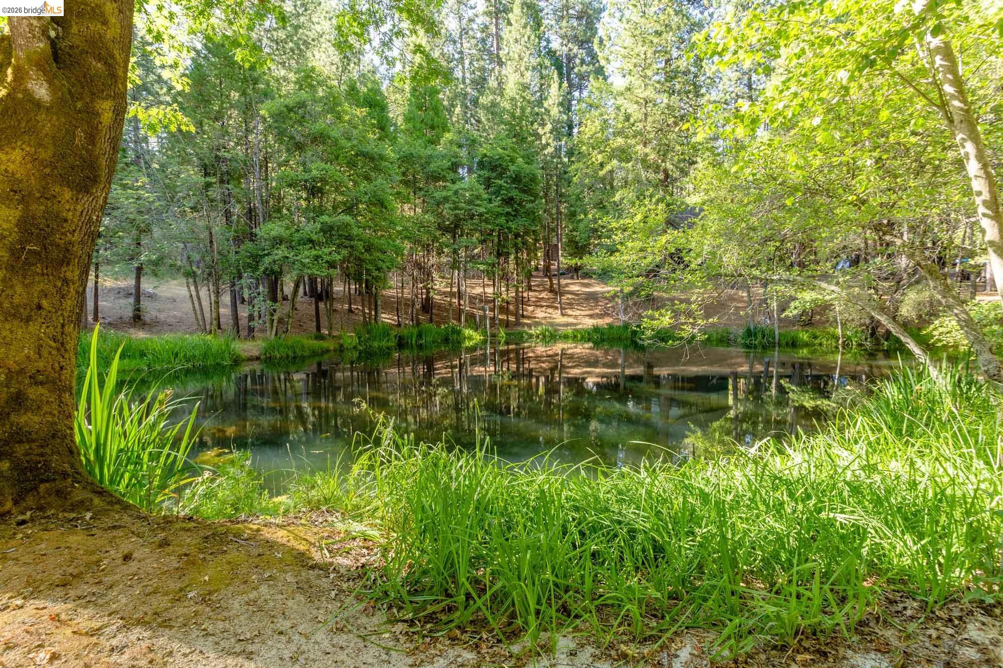 22460 Longeway Rd, Sonora CA 95370 — photo 50