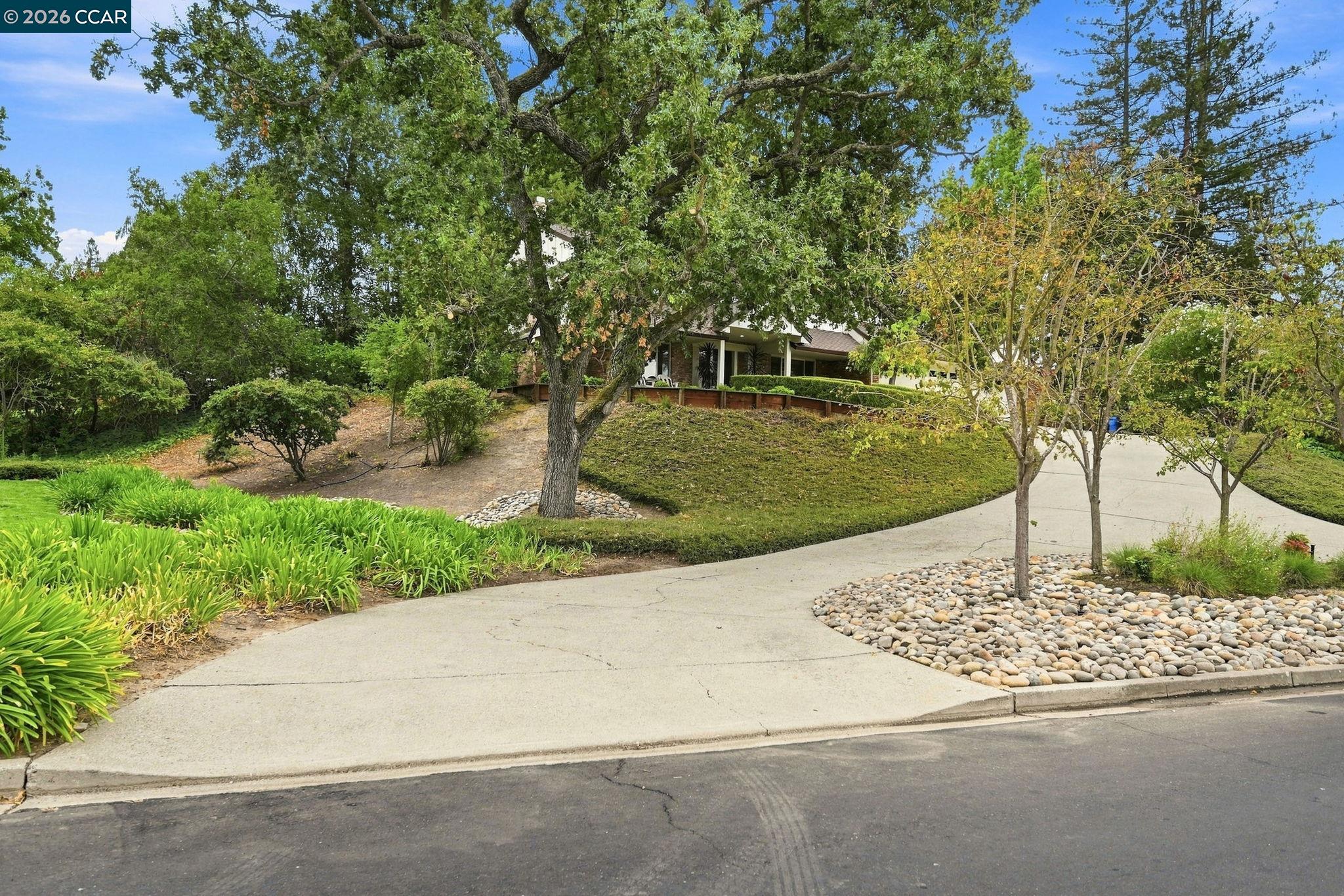 2516 Roundhill Dr, Alamo CA 94507 — photo 6