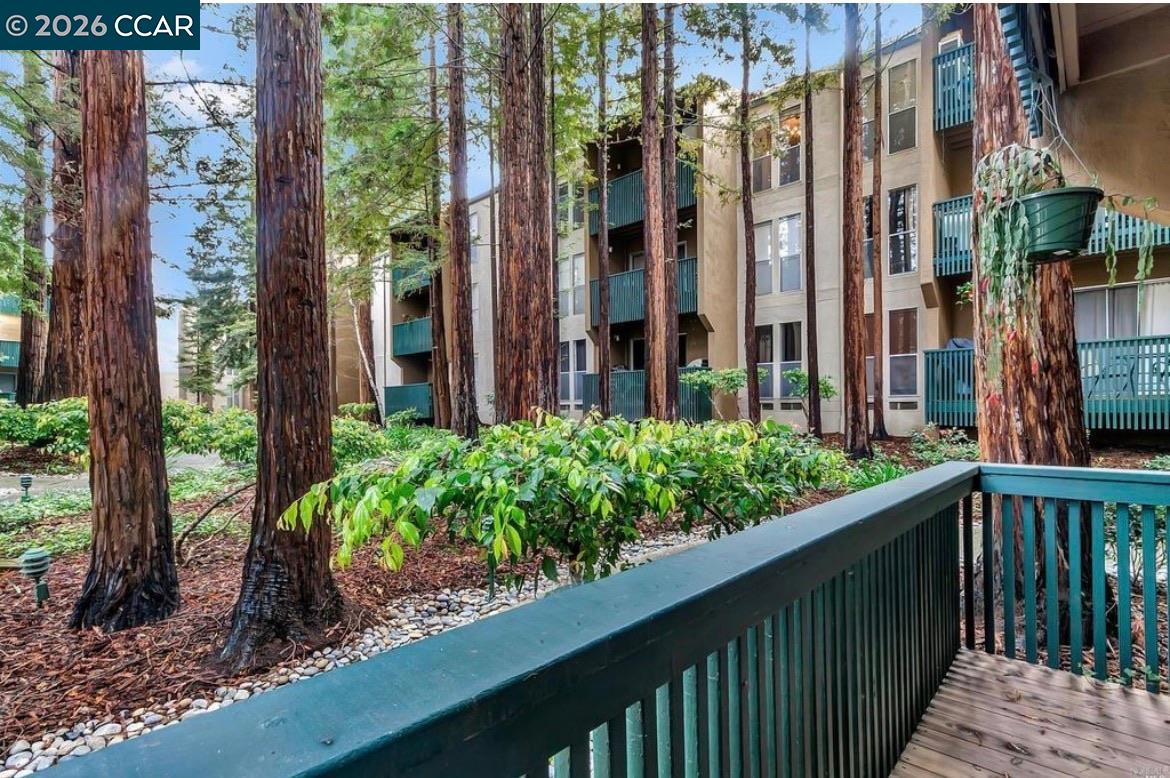 1236 Walker Ave # 105, Walnut Creek CA 94596 — photo 13