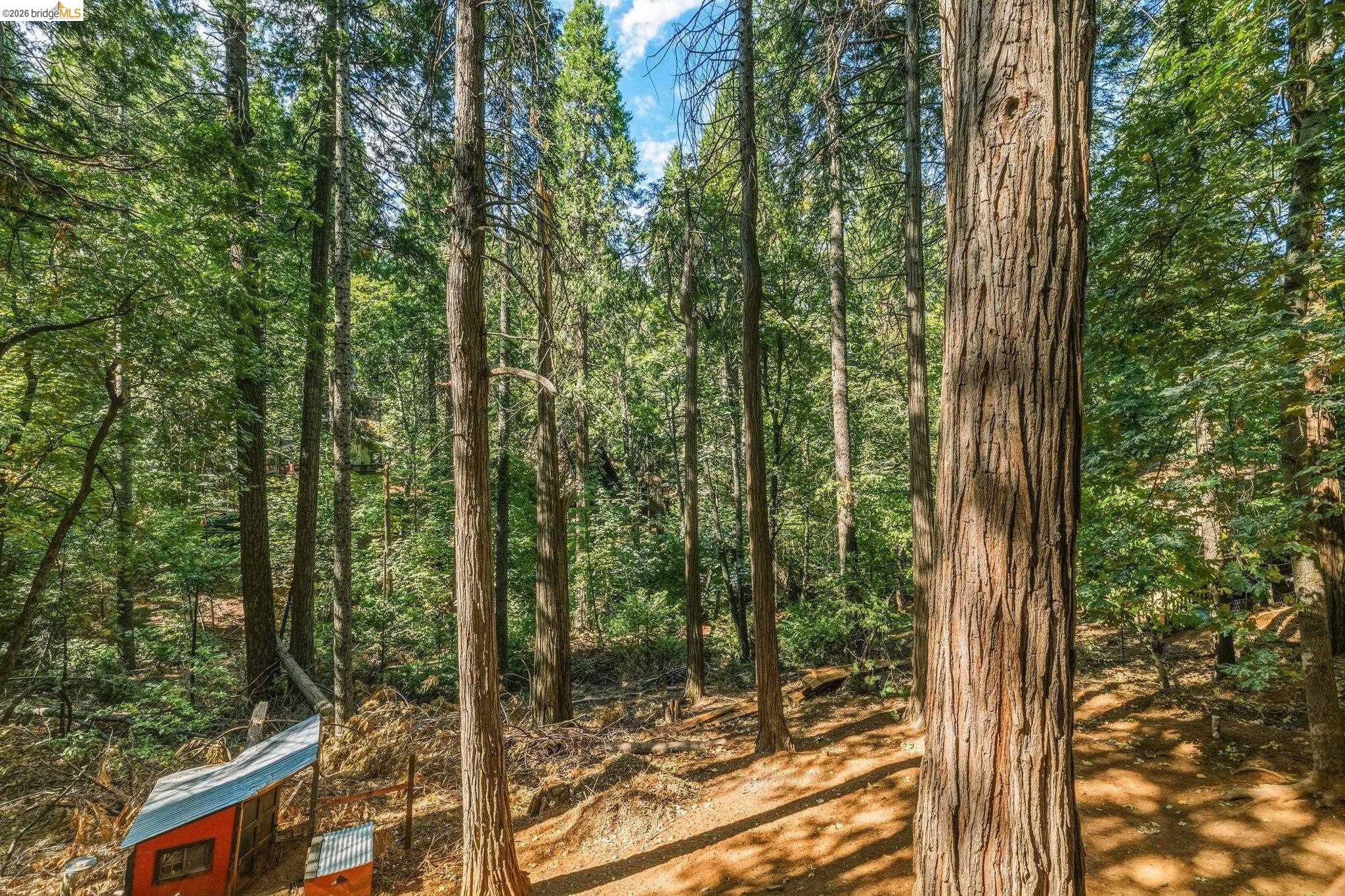 16947 E Brookside Dr., Sonora CA 95370 — photo 34