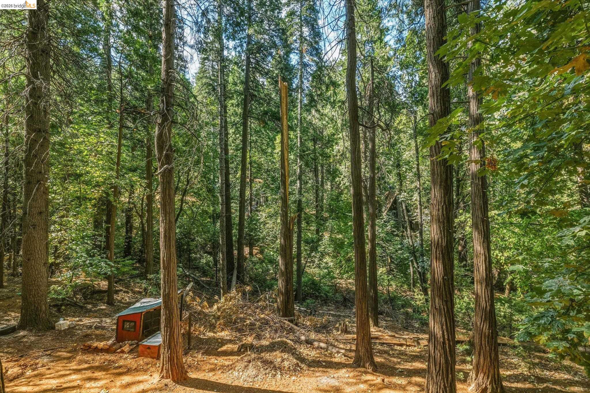 16947 E Brookside Dr., Sonora CA 95370 — photo 35
