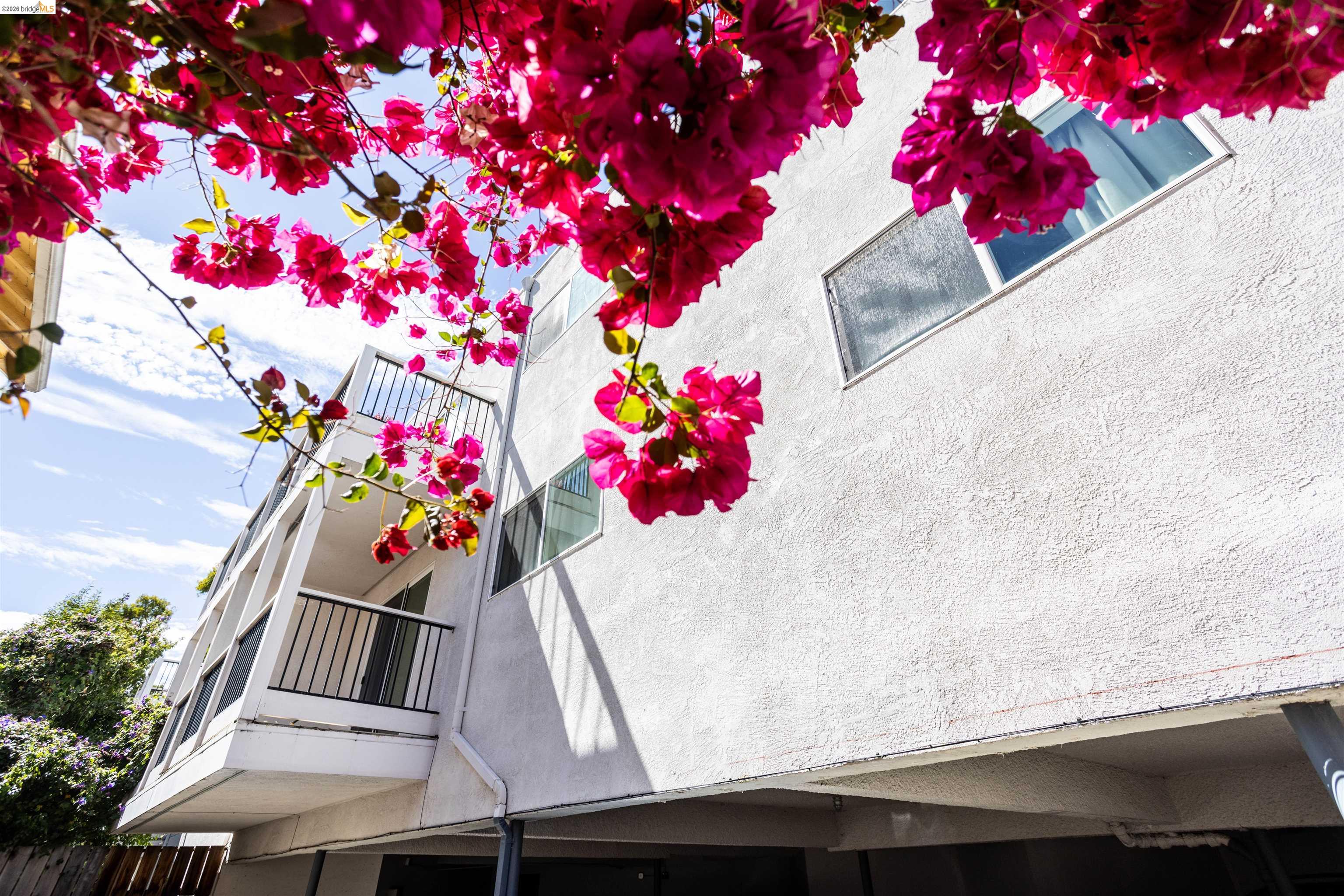2120 GRANT STREET, Berkeley CA 94703 — photo 17