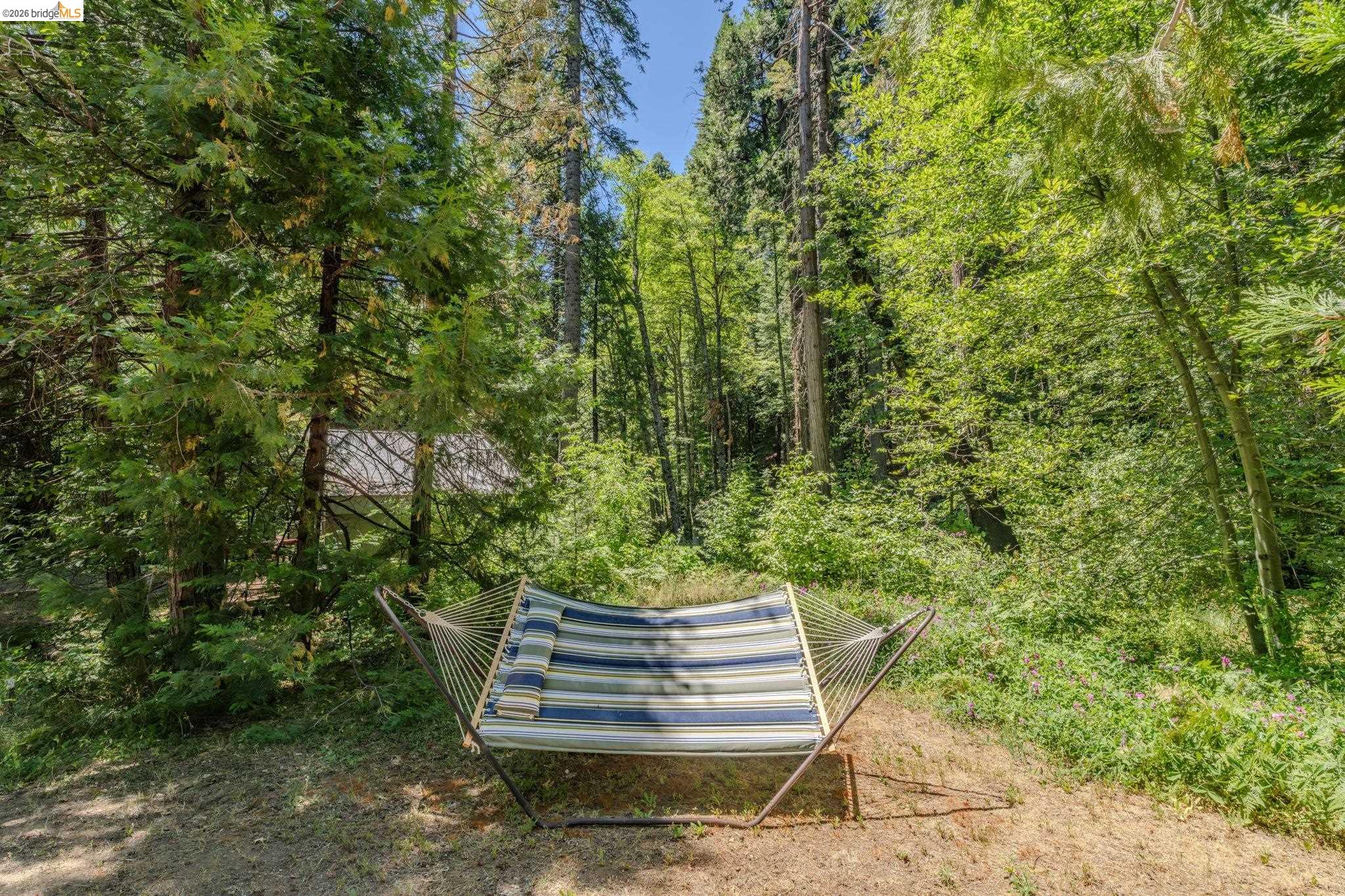 2495 Hangtree Trail, Arnold CA 95223 — photo 11