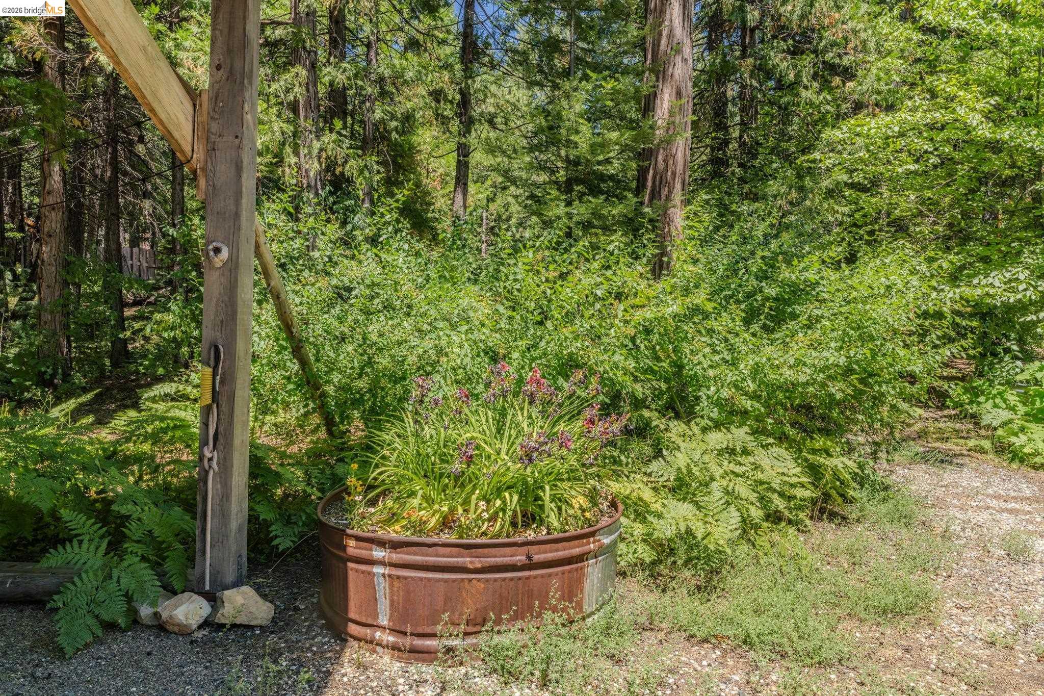 2495 Hangtree Trail, Arnold CA 95223 — photo 50