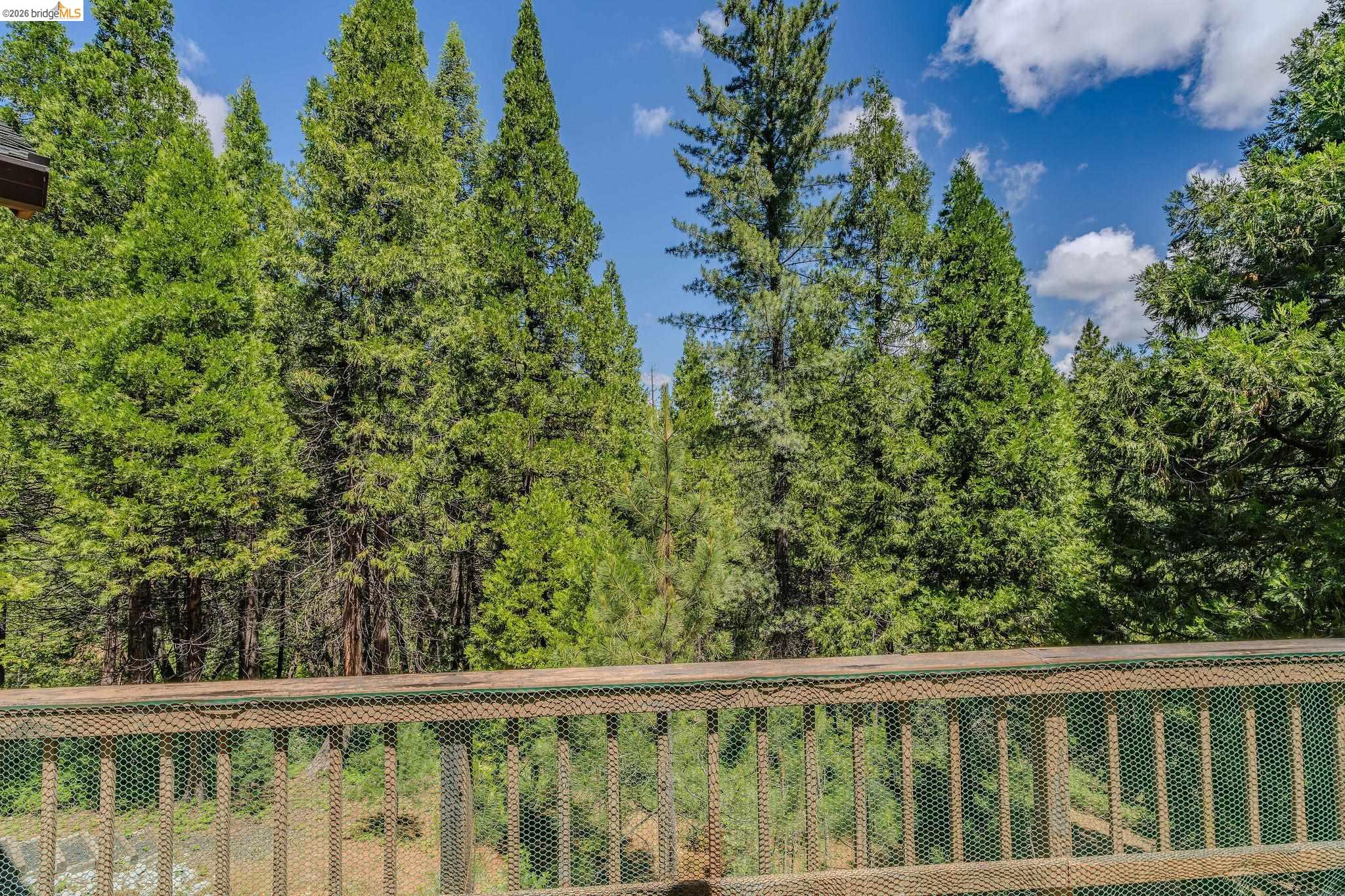 317 Canyon View Dr, Hathaway Pines CA 95233 — photo 14
