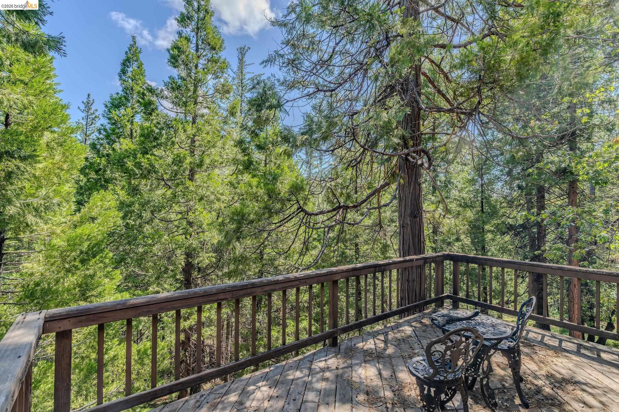 317 Canyon View Dr, Hathaway Pines CA 95233 — photo 4