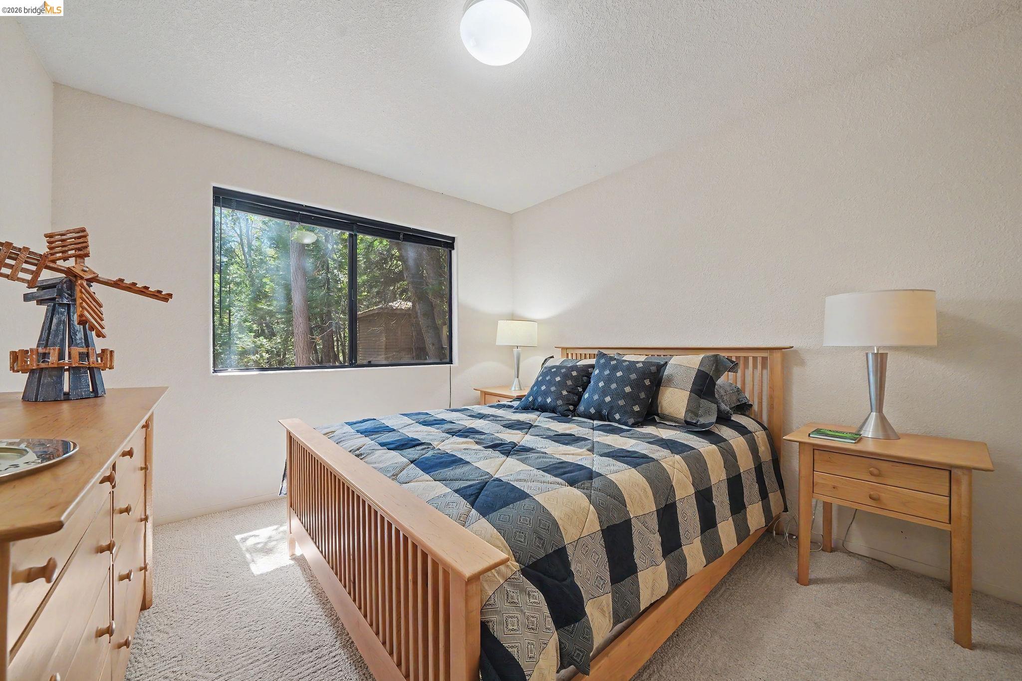 317 Canyon View Dr, Hathaway Pines CA 95233 — photo 52