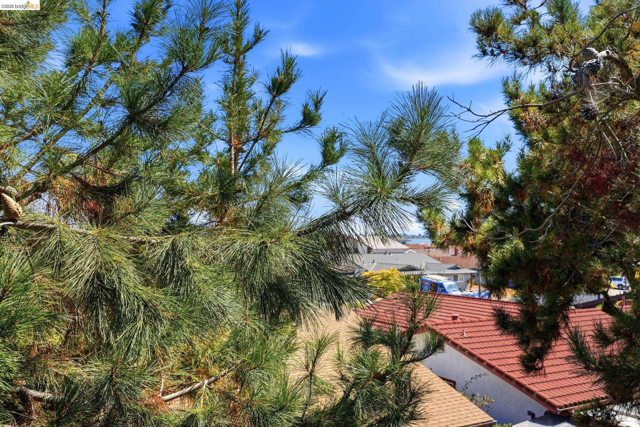 955 Shorepoint Court # 208, Alameda CA 94501 — photo 20