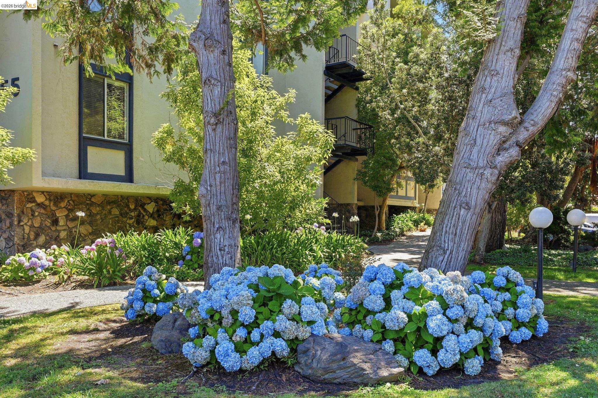 955 Shorepoint Court # 208, Alameda CA 94501 — photo 22