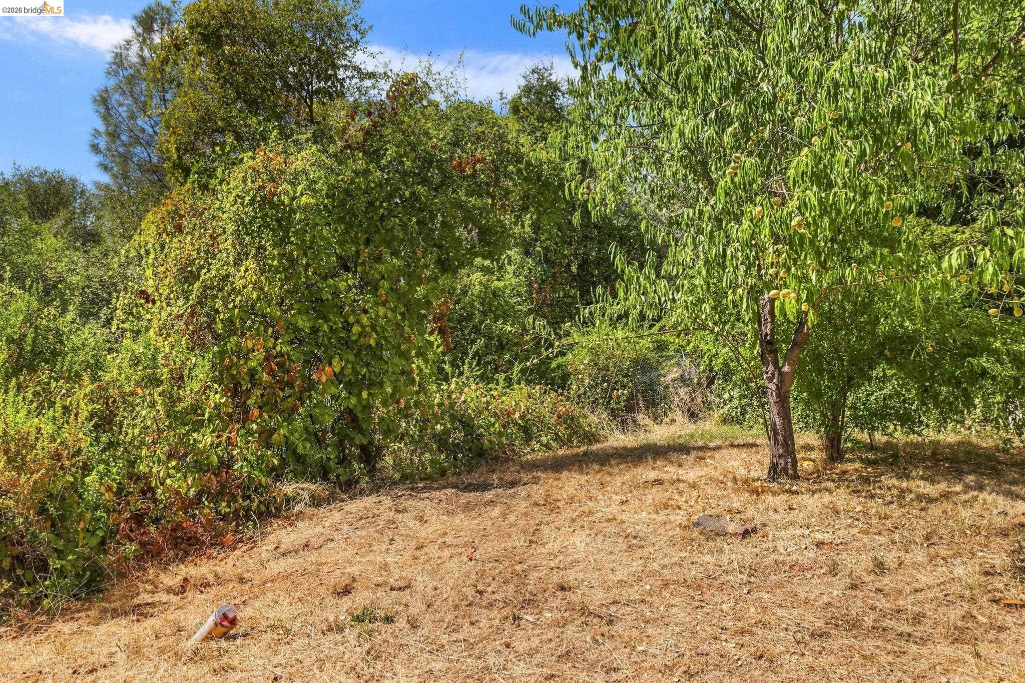 18948 North Dr, Jamestown, CA 95327 photo 26