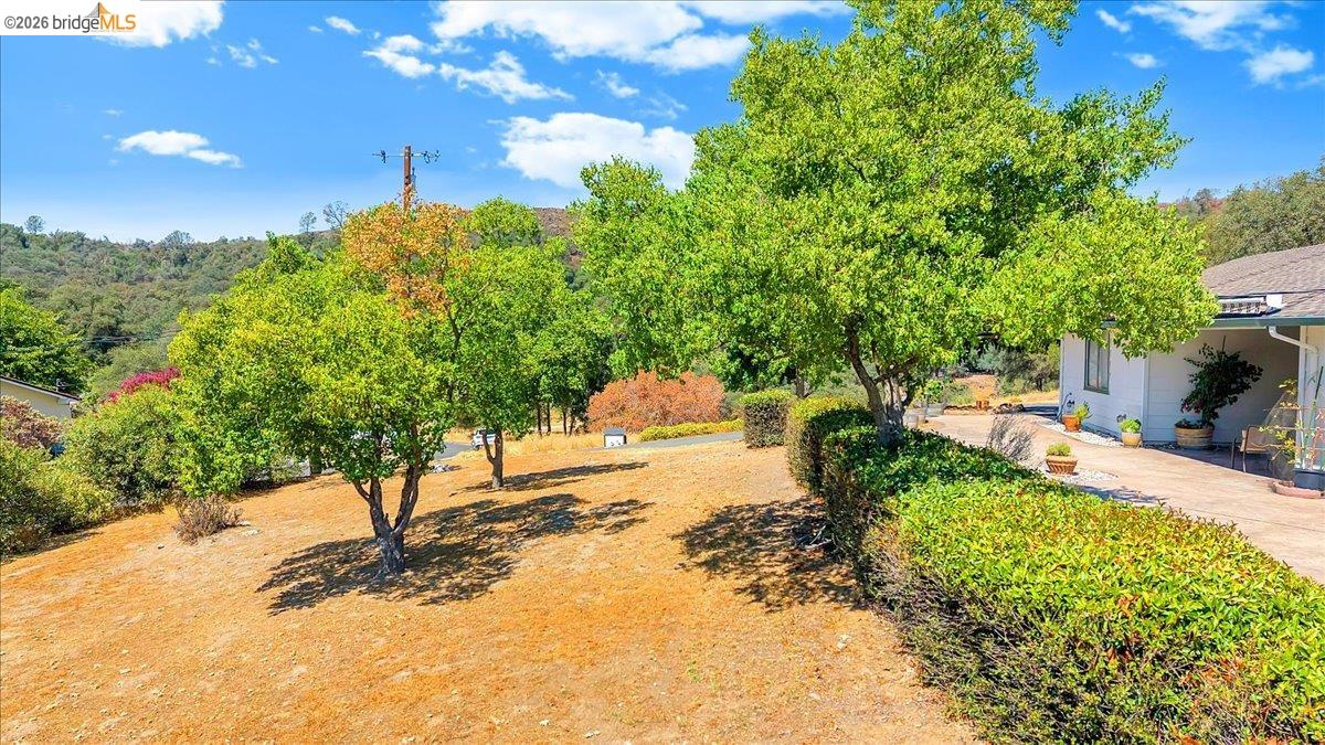 9790 O Neil Ct, Jamestown CA 95327 — photo 63