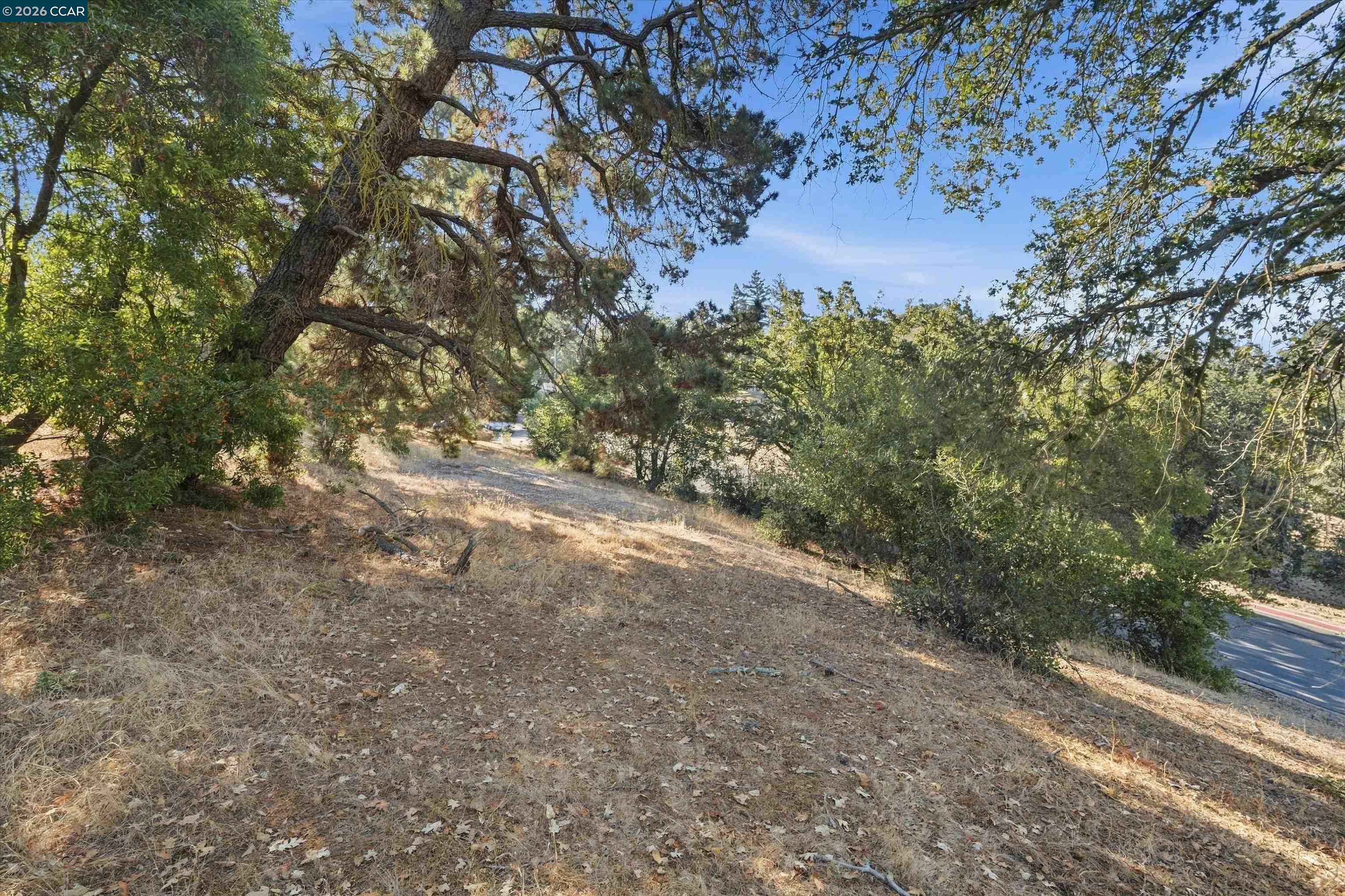 0 Hamlin Rd, Lafayette CA 94549 — photo 9
