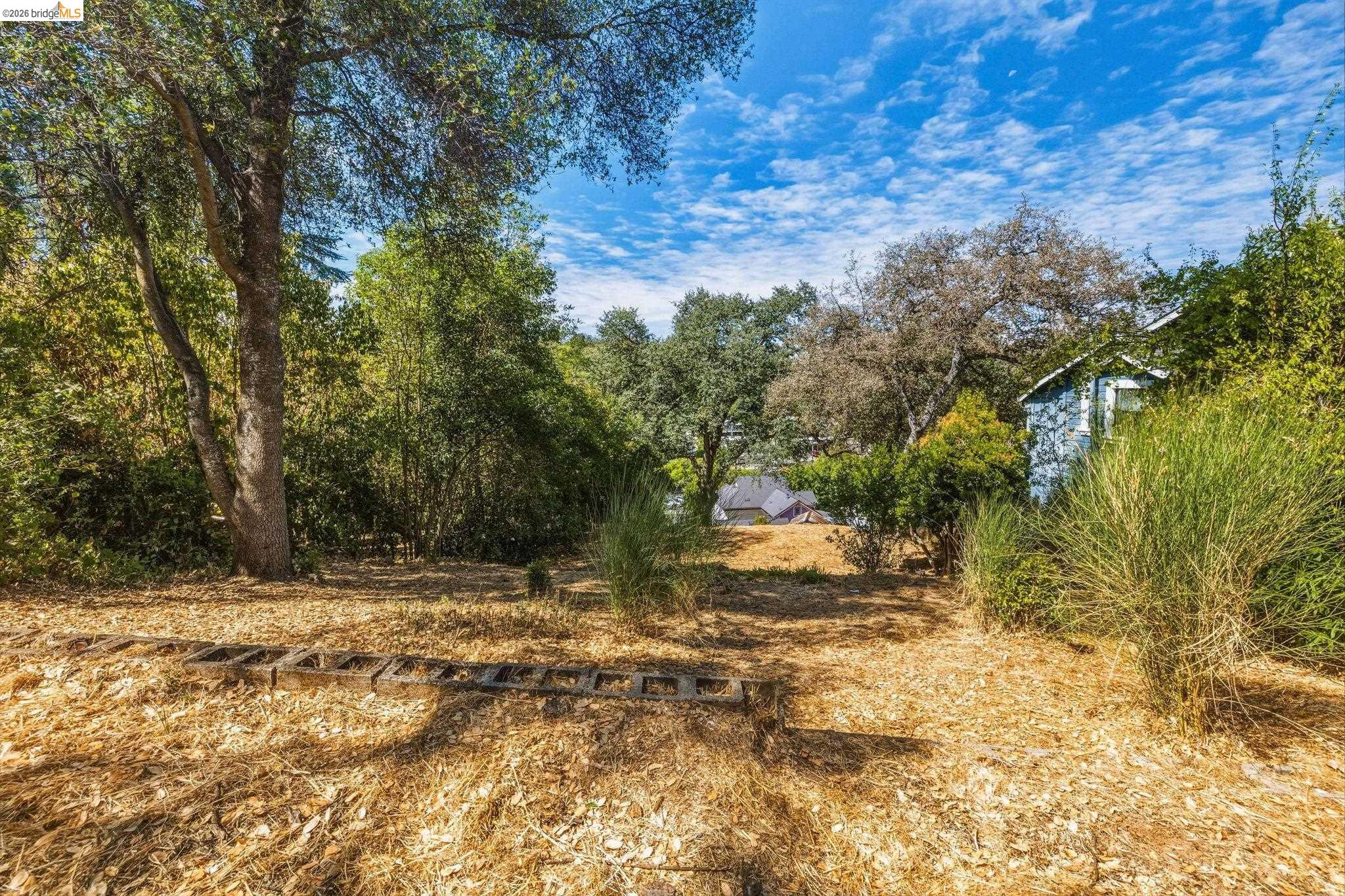 Barretta Street, Sonora CA 95370 — photo 5