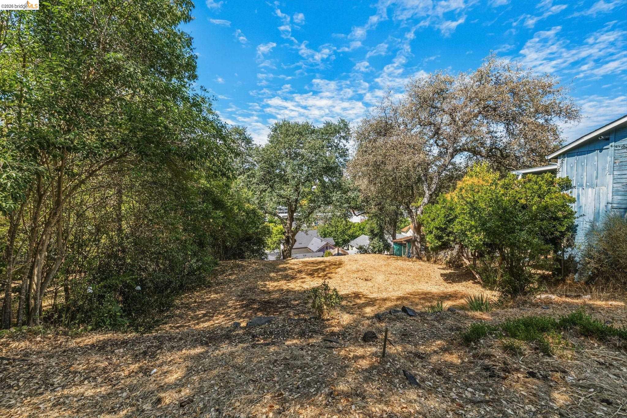Barretta Street, Sonora CA 95370 — photo 8