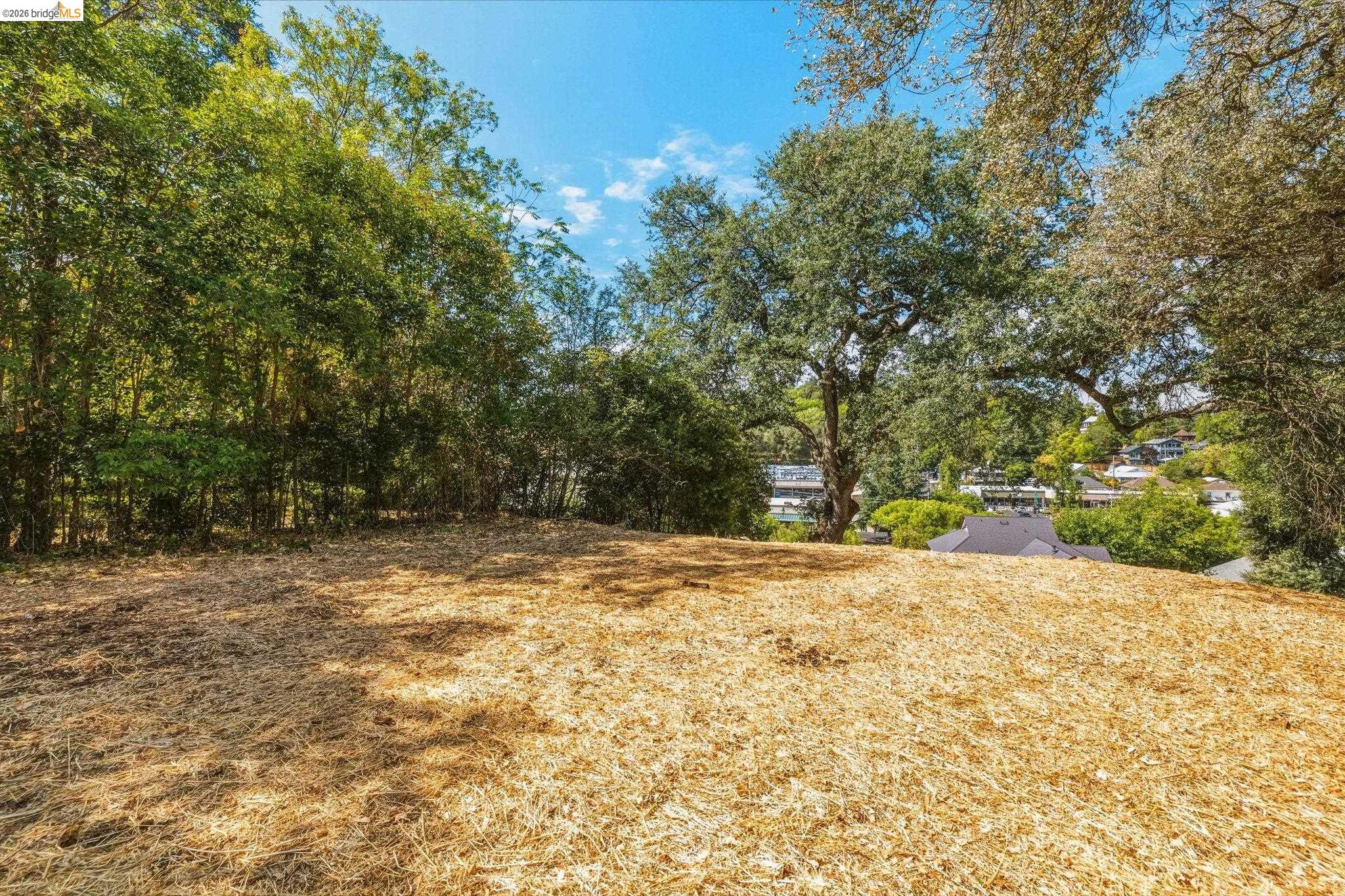 Barretta Street, Sonora CA 95370 — photo 9