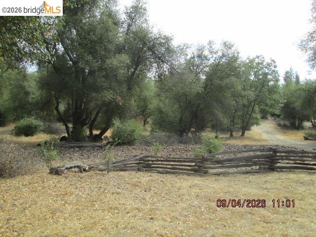 6425 Dogtown Rd, Coulterville CA 95311 — photo 2