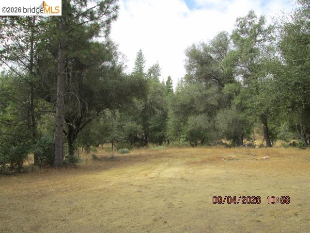 6425 Dogtown Rd, Coulterville CA 95311 — photo 51