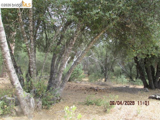 6425 Dogtown Rd, Coulterville CA 95311 — photo 53