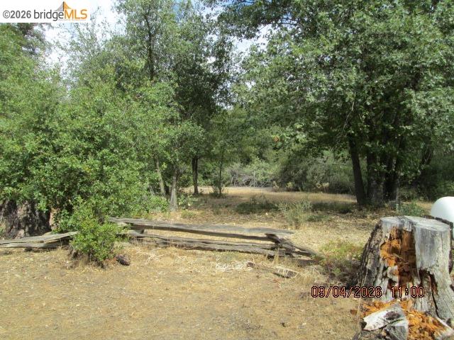 6425 Dogtown Rd, Coulterville CA 95311 — photo 55