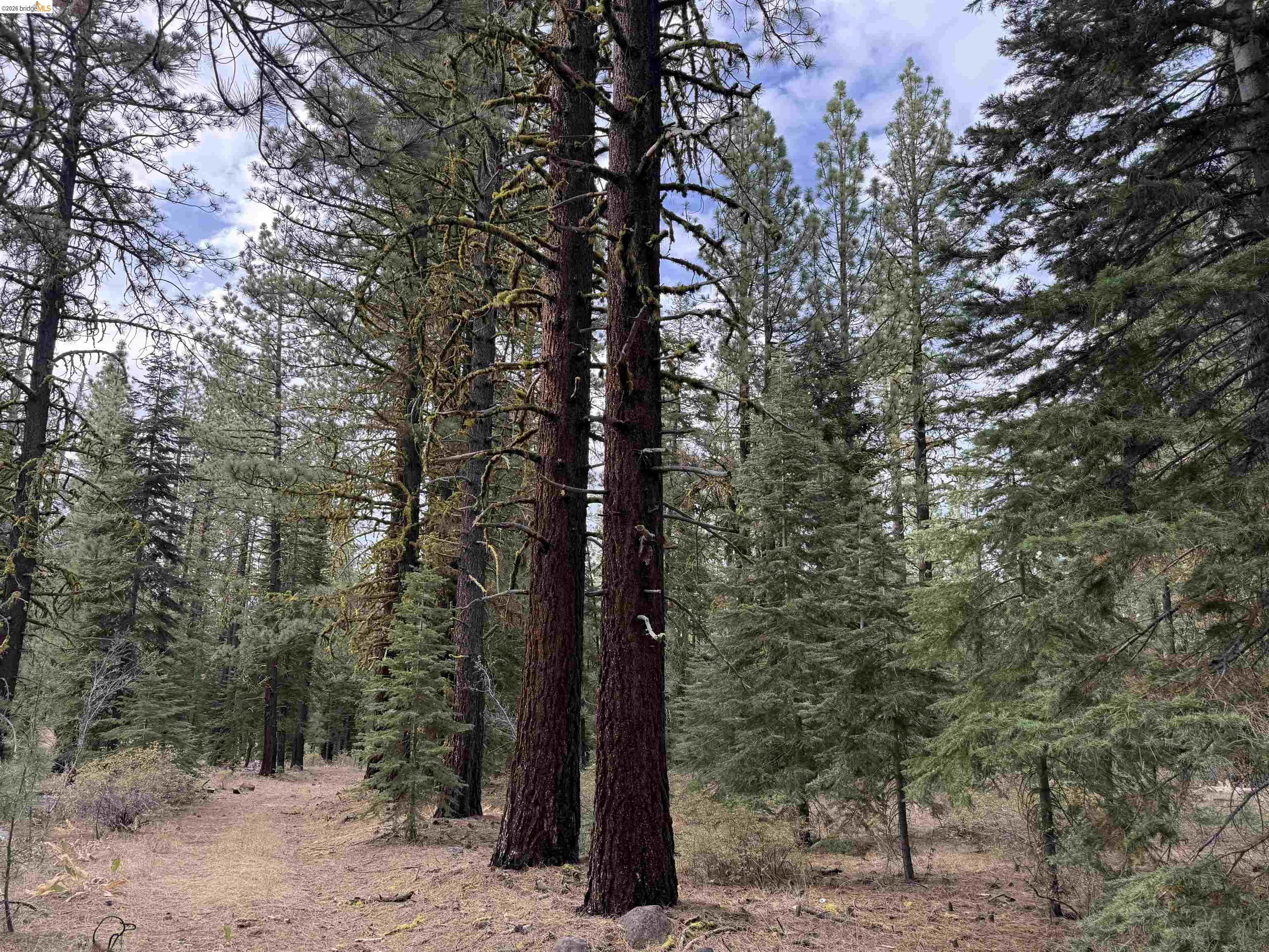 00000 West Wing, Susanville CA 96127 — photo 11