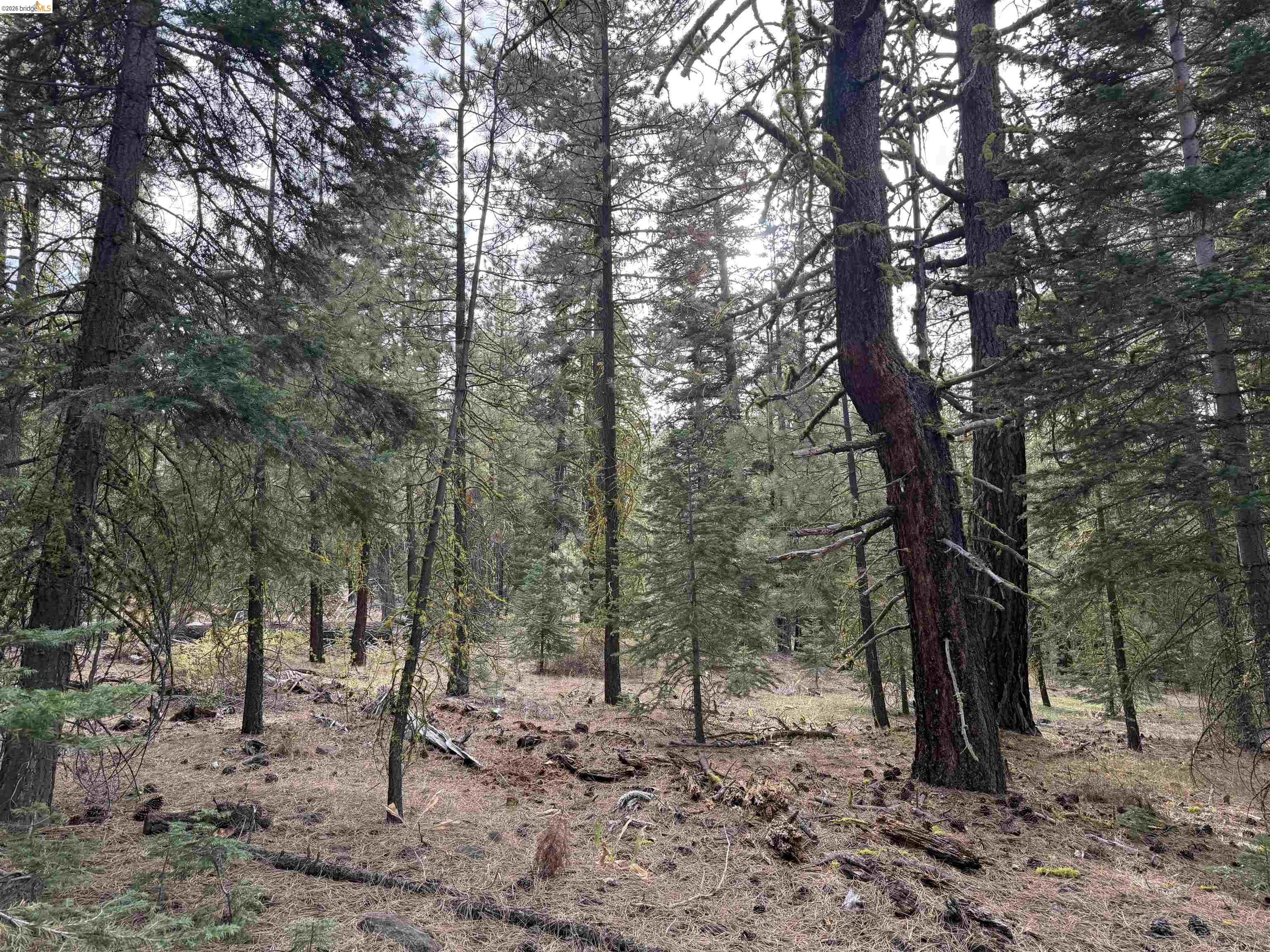 00000 West Wing, Susanville CA 96127 — photo 12