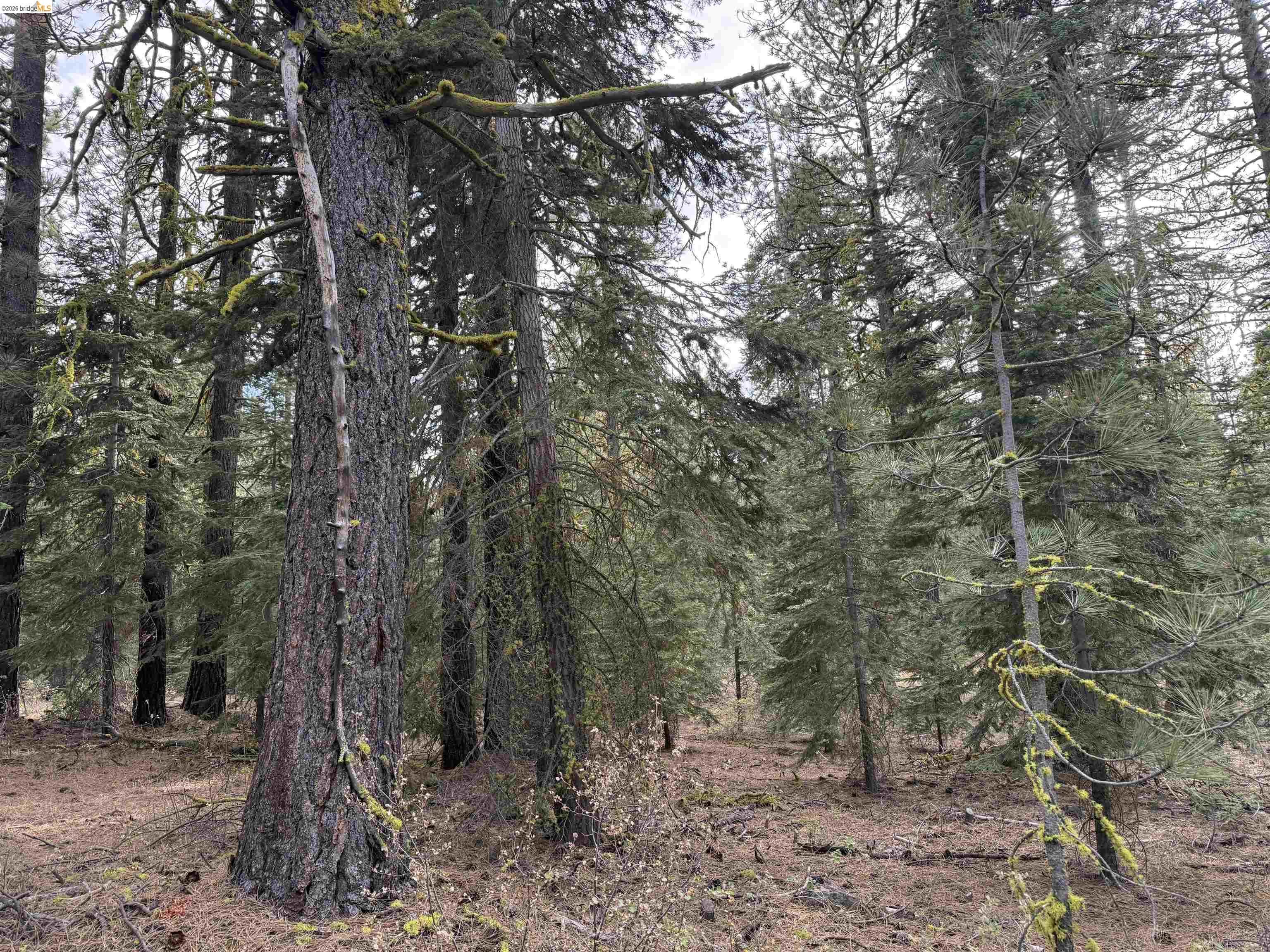 00000 West Wing, Susanville CA 96127 — photo 16