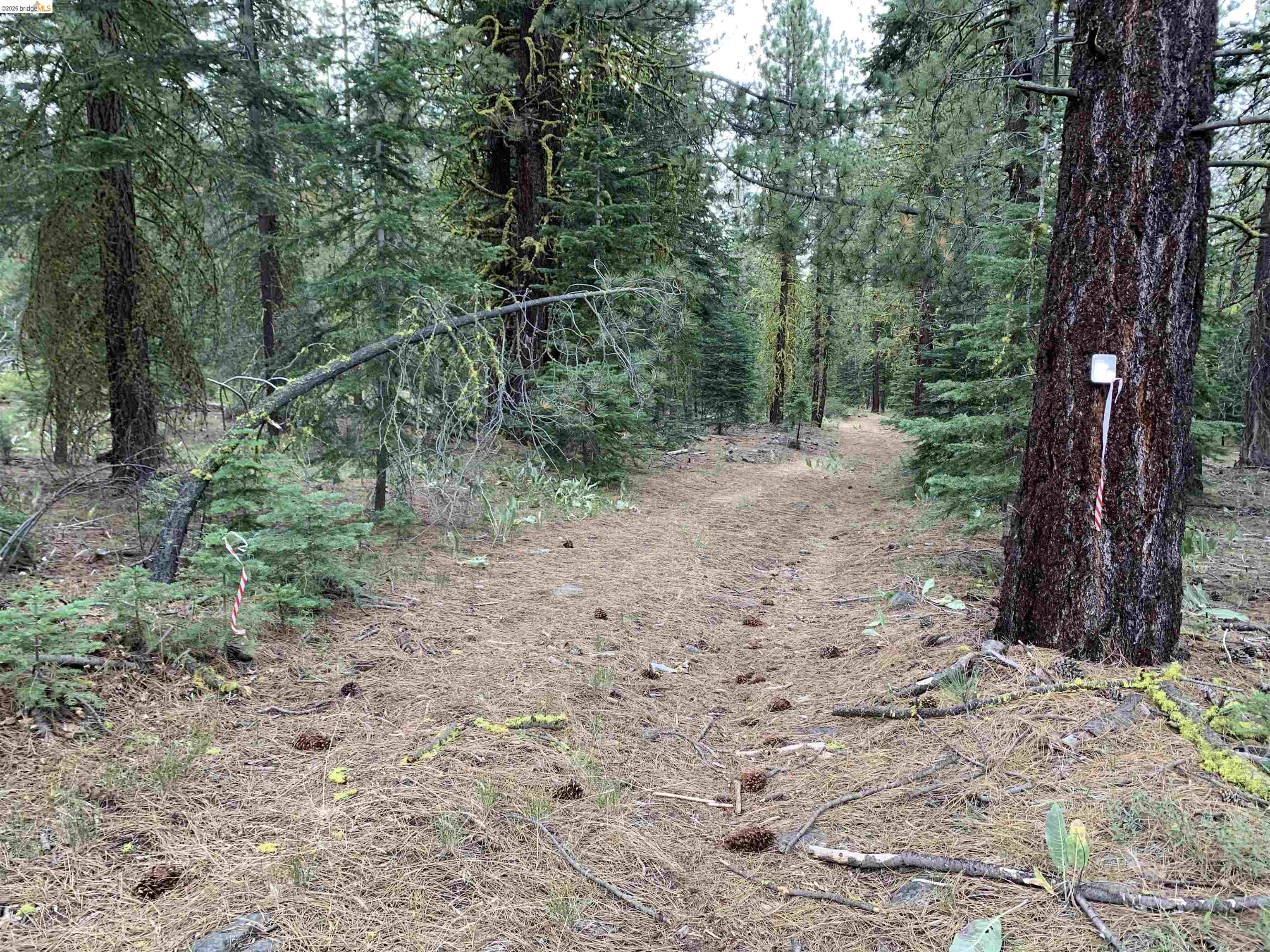 00000 West Wing, Susanville CA 96127 — photo 4