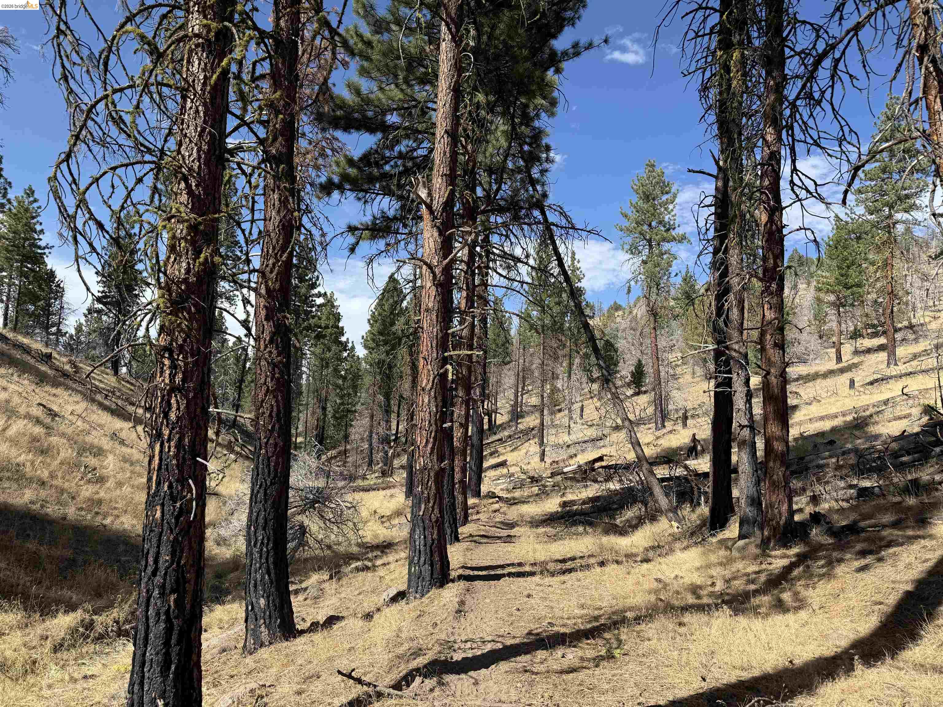 00000 Butte Creek Rd, Susanville CA 96127 — photo 10