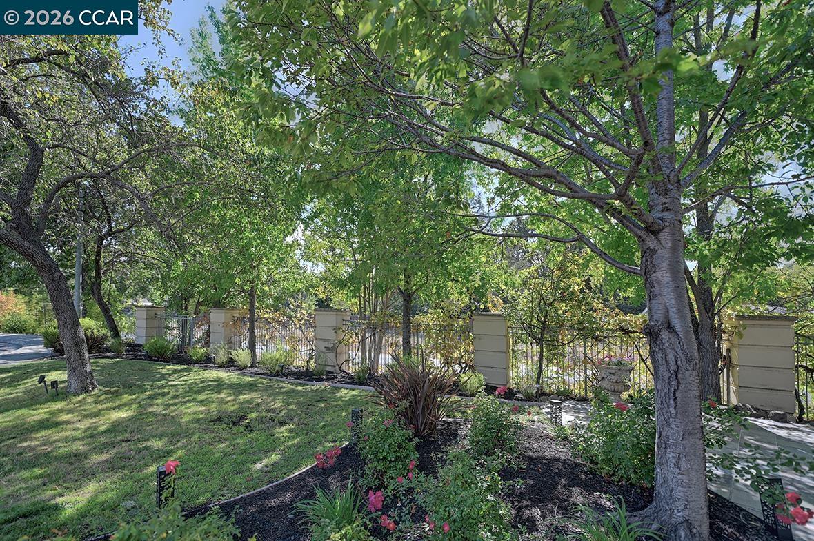 512 Matisse Ct, Walnut Creek CA 94597 — photo 74
