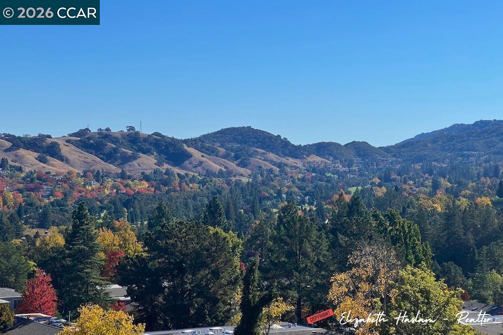 3288 Terra Granada Dr # 3A, Walnut Creek CA 94595 — photo 45