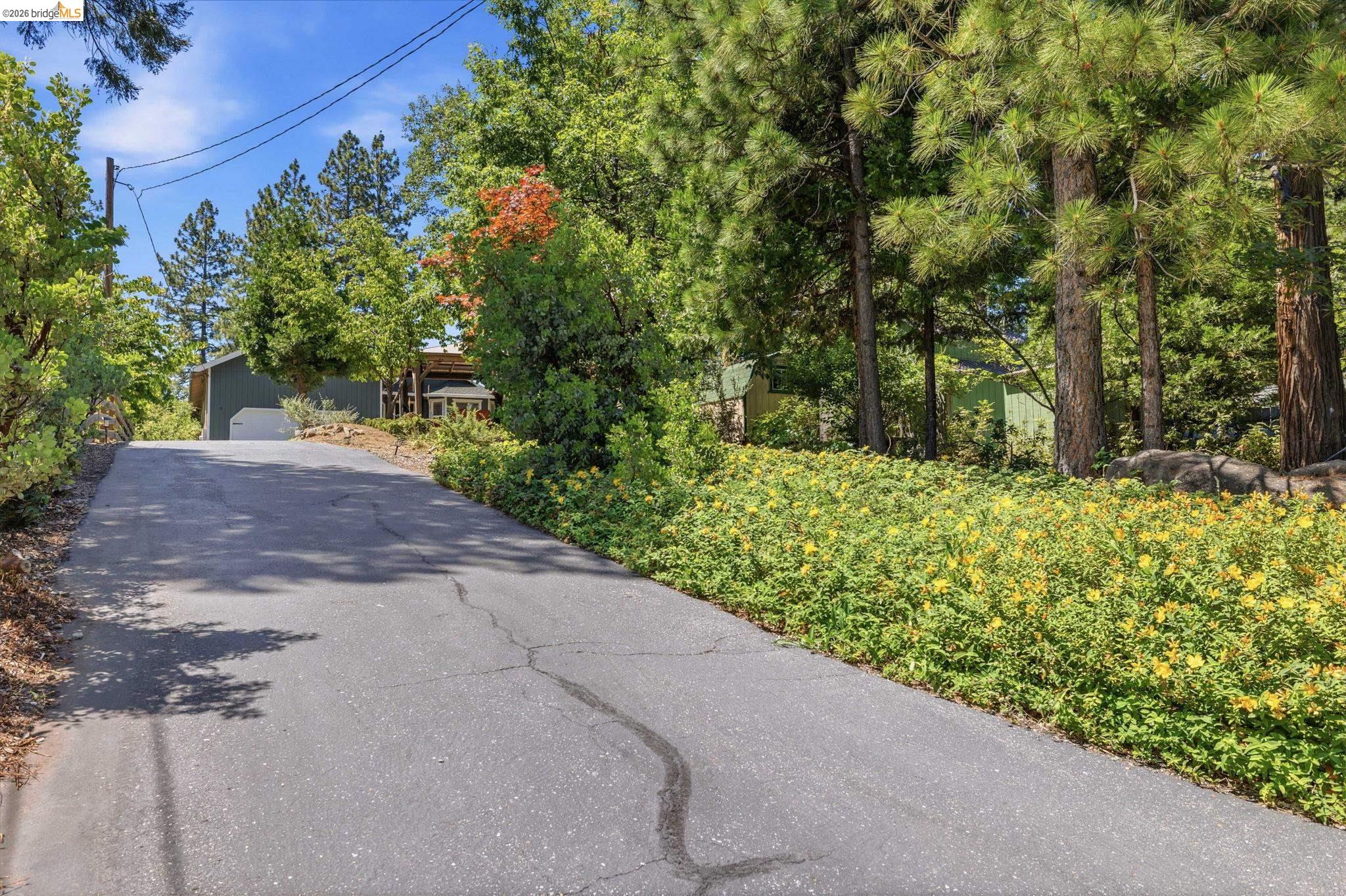 19922 Middle Camp Sugarpine RD, Mi Wuk Village CA 95346 — photo 37