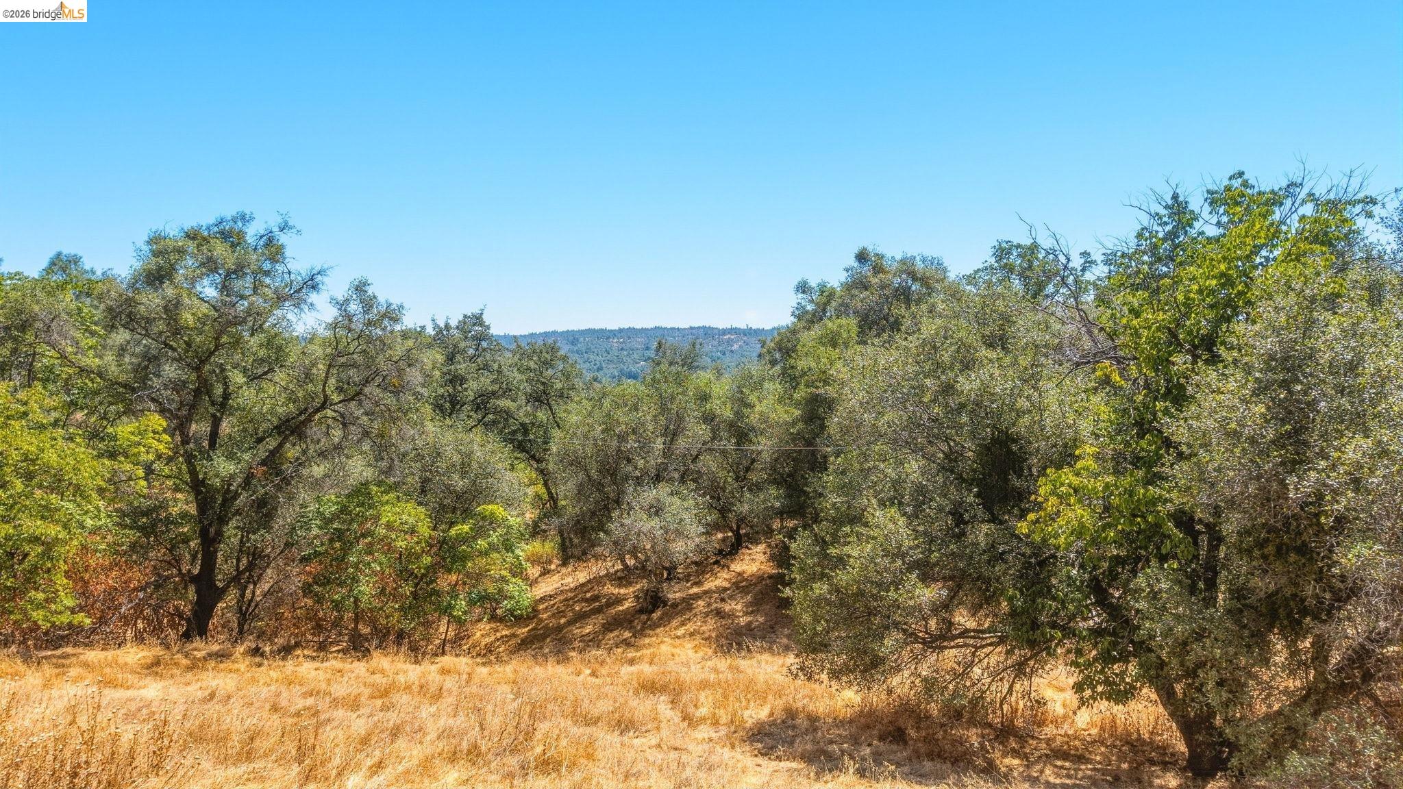 20510 Tuttletown Rd., Sonora CA 95370 — photo 11
