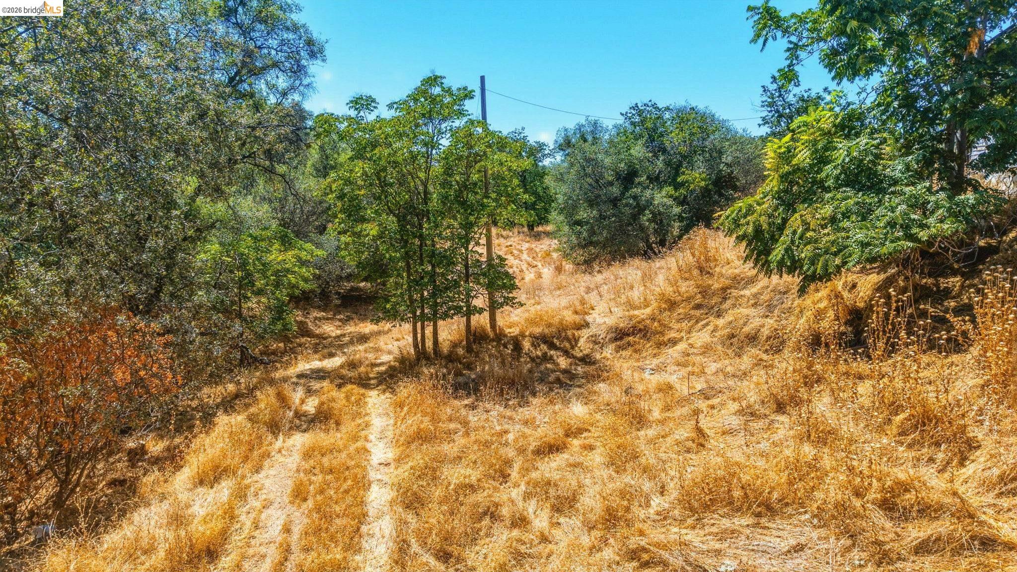 20510 Tuttletown Rd., Sonora CA 95370 — photo 23