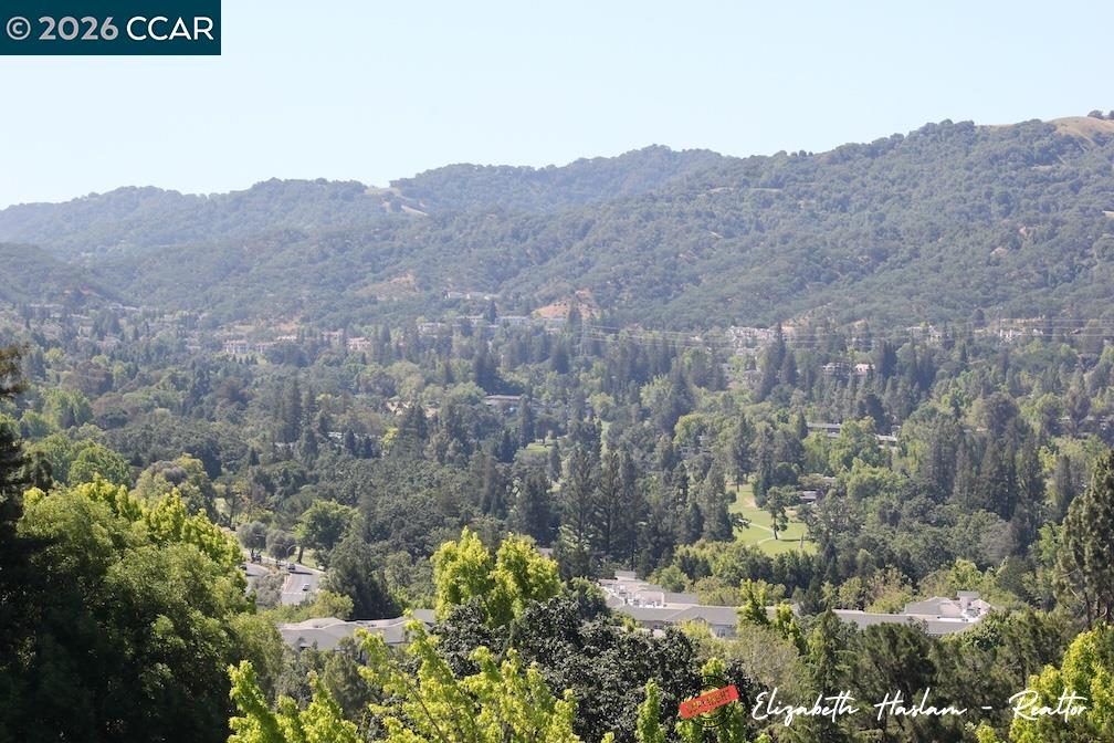 2500 Ptarmigan Dr # 4, Walnut Creek CA 94595 — photo 34