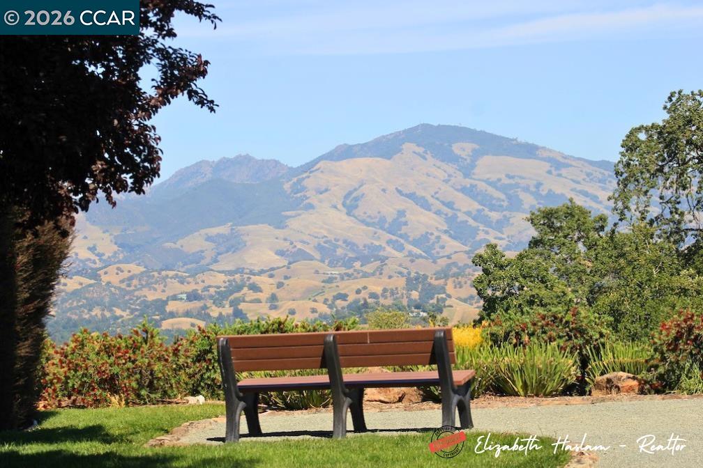 2500 Ptarmigan Dr # 4, Walnut Creek CA 94595 — photo 35
