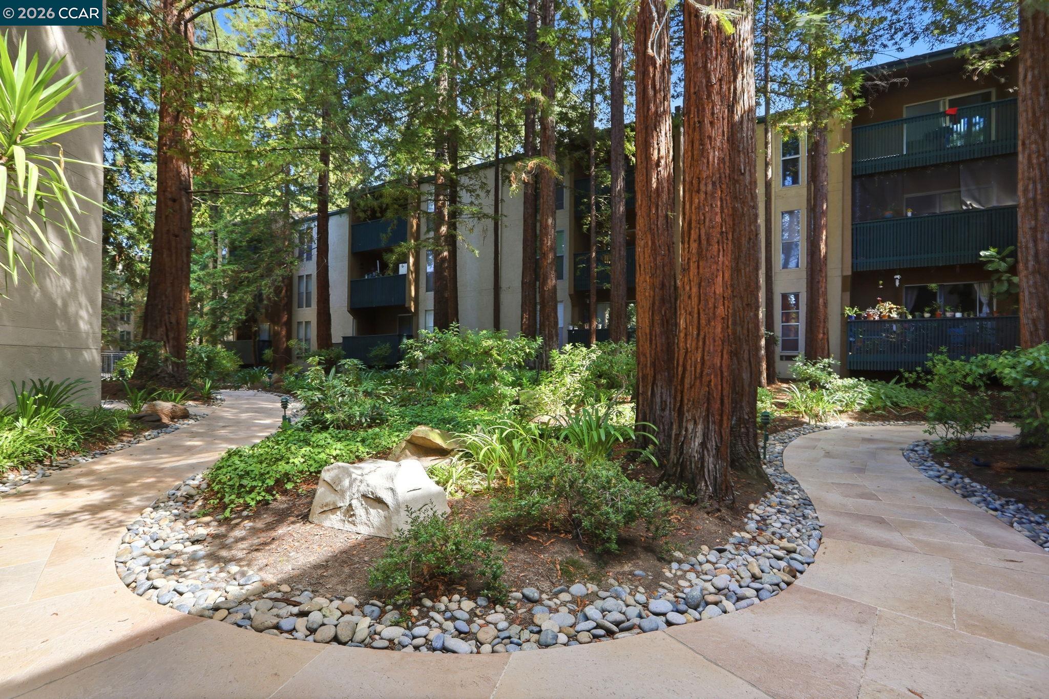 155 Sharene Ln # 307, Walnut Creek CA 94596 — photo 22