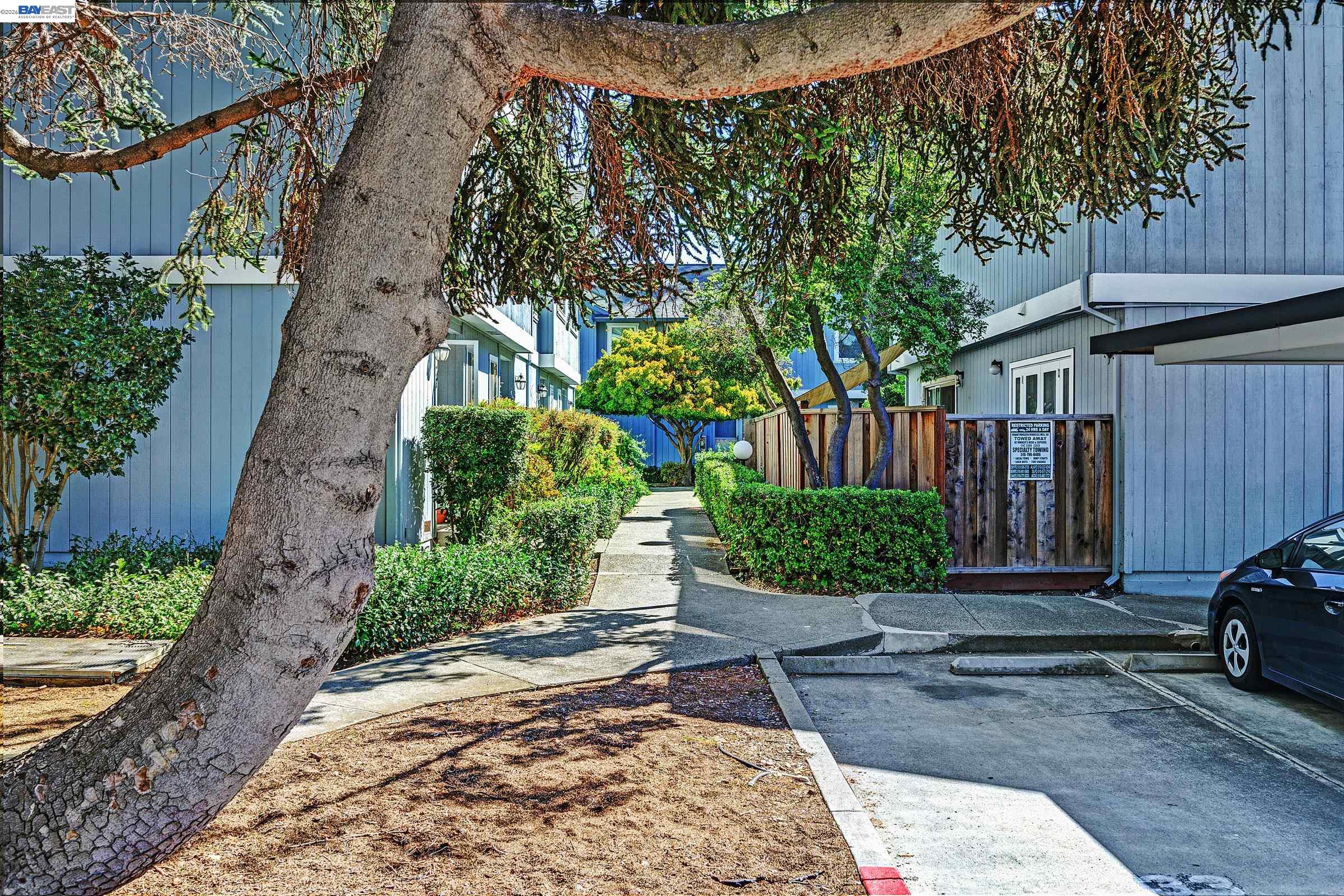 20115 Redwood Rd # 15, Castro Valley CA 94546 — photo 35